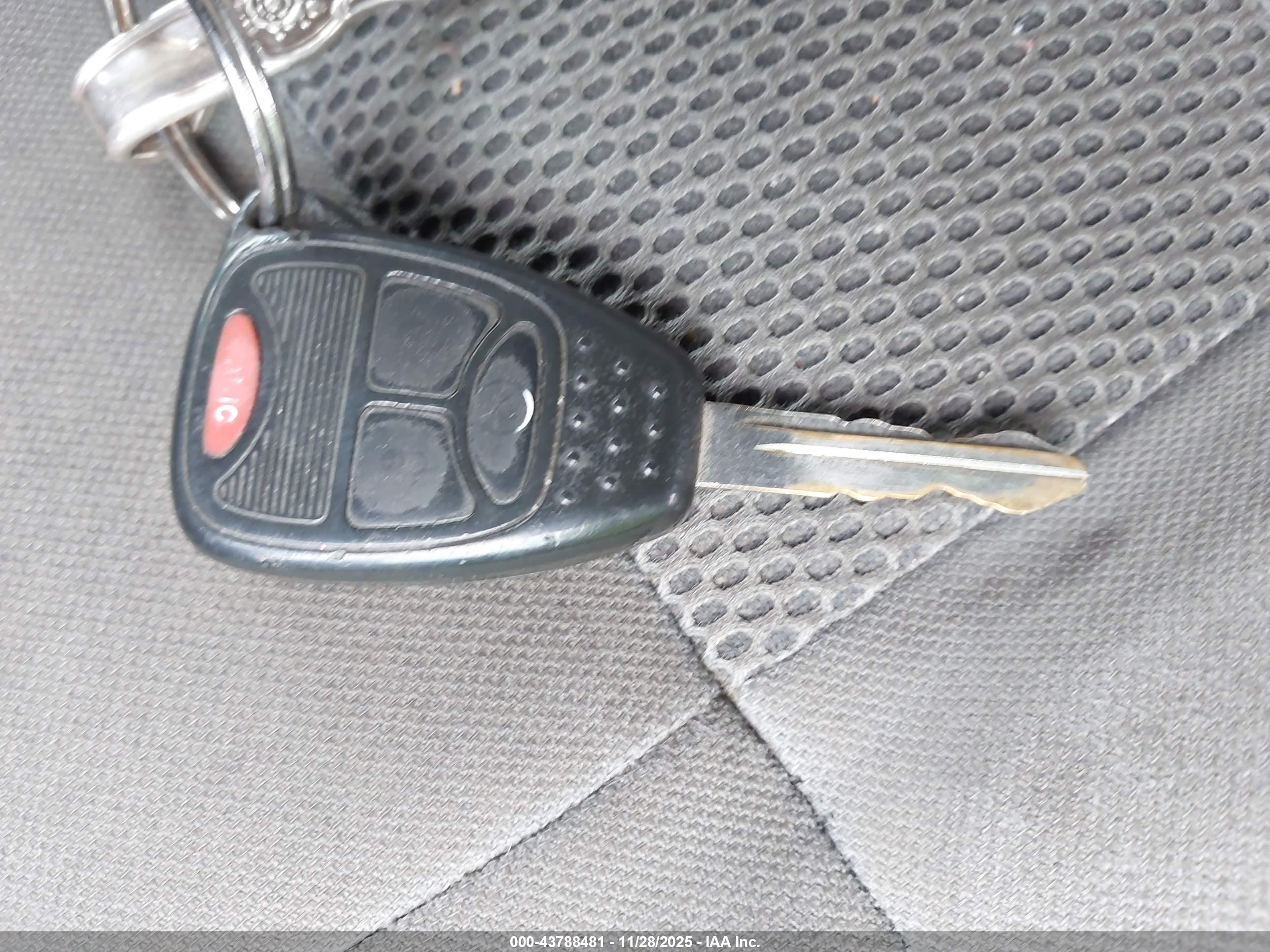 JEEP WRANGLER image 11