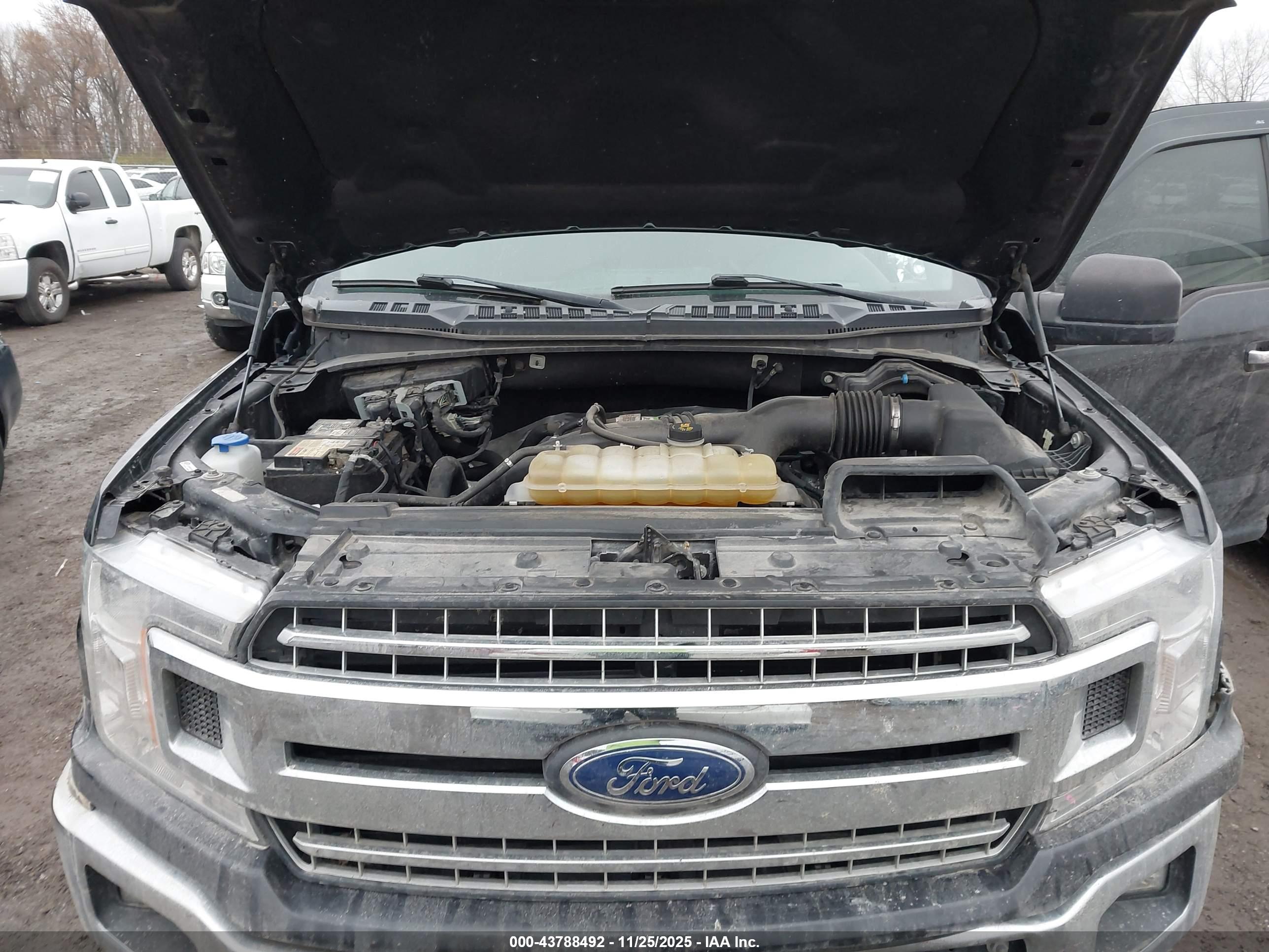 FORD F-150 image 10