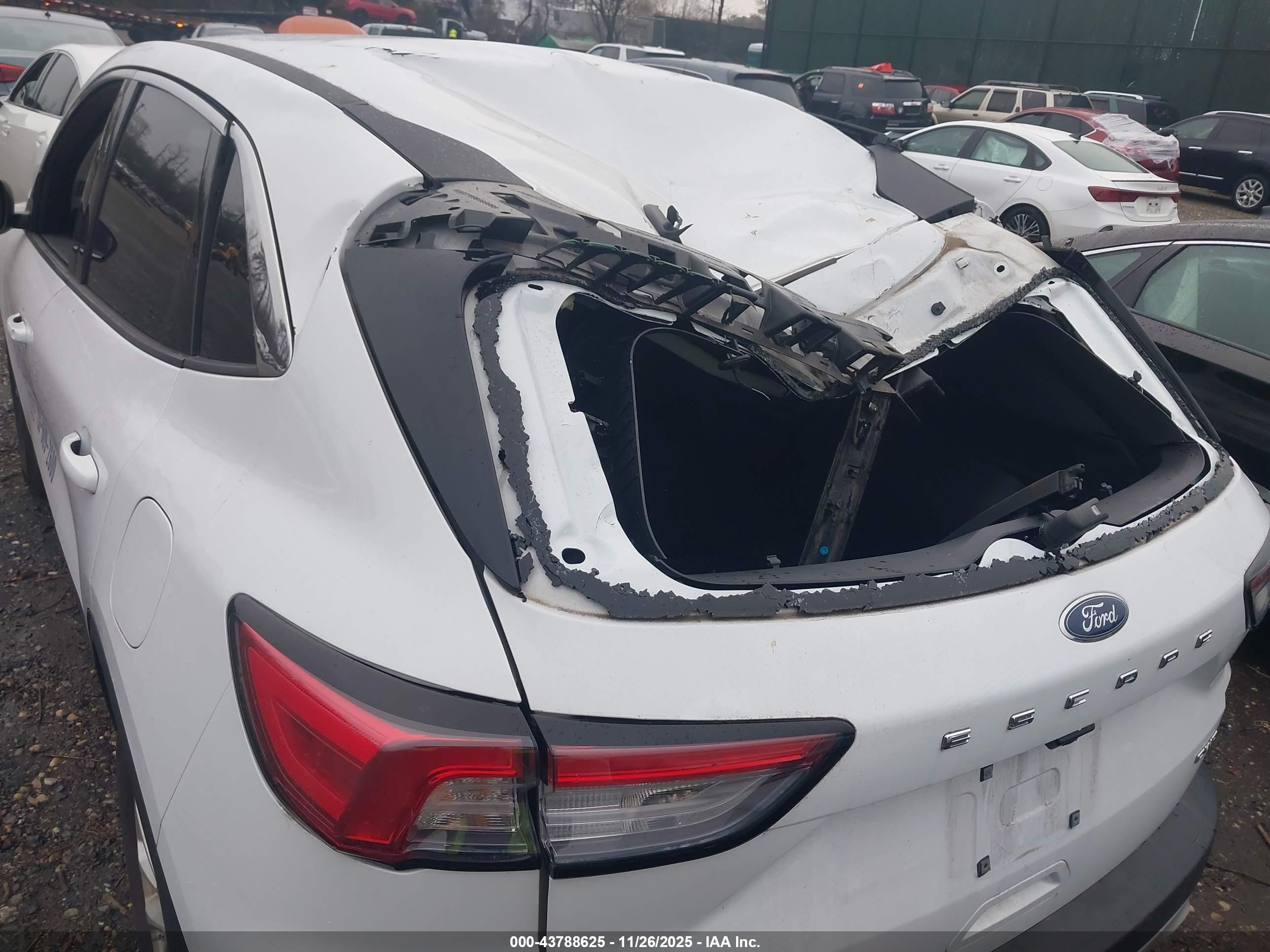 FORD ESCAPE image 6