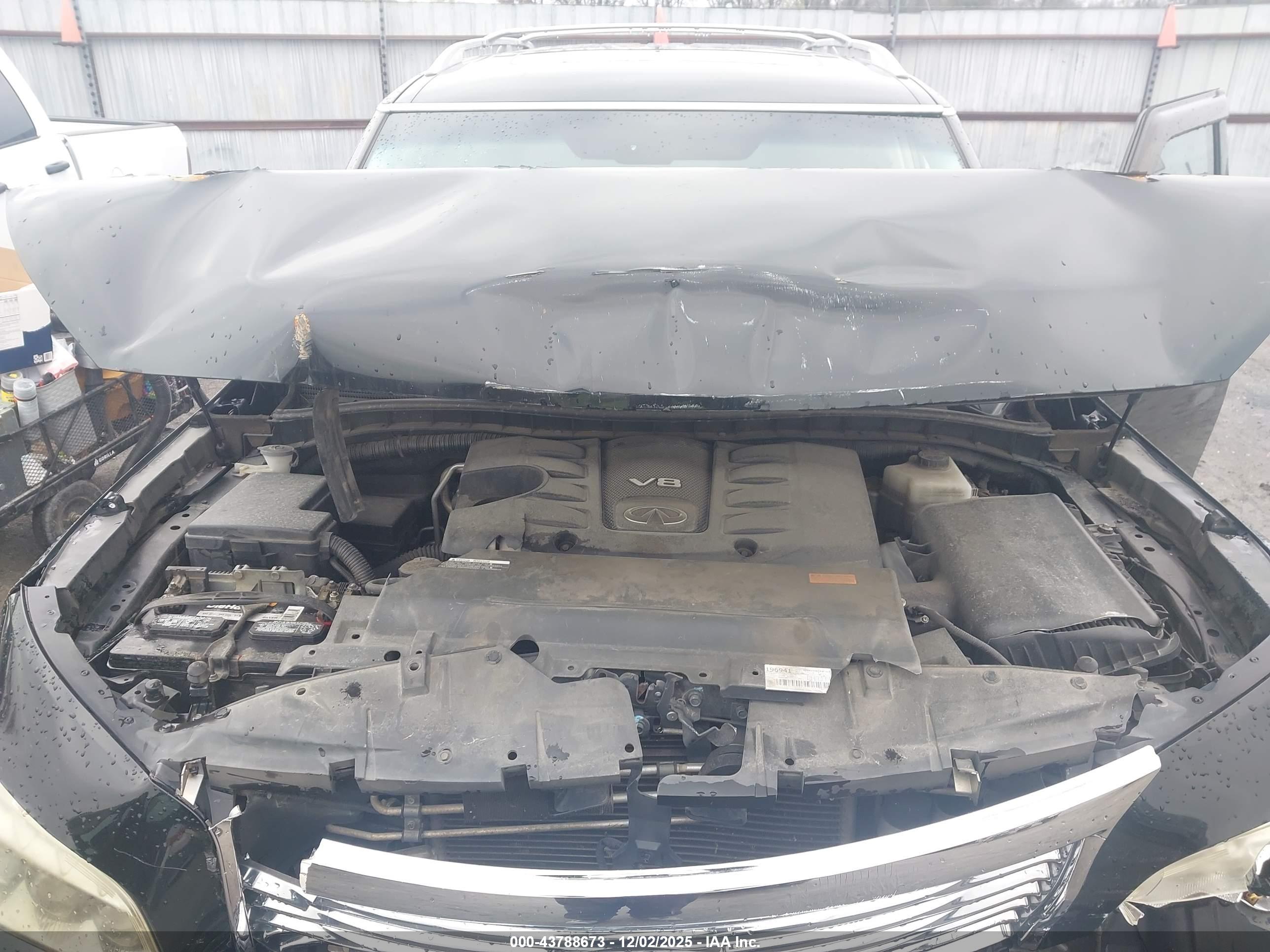 INFINITI QX80 image 10