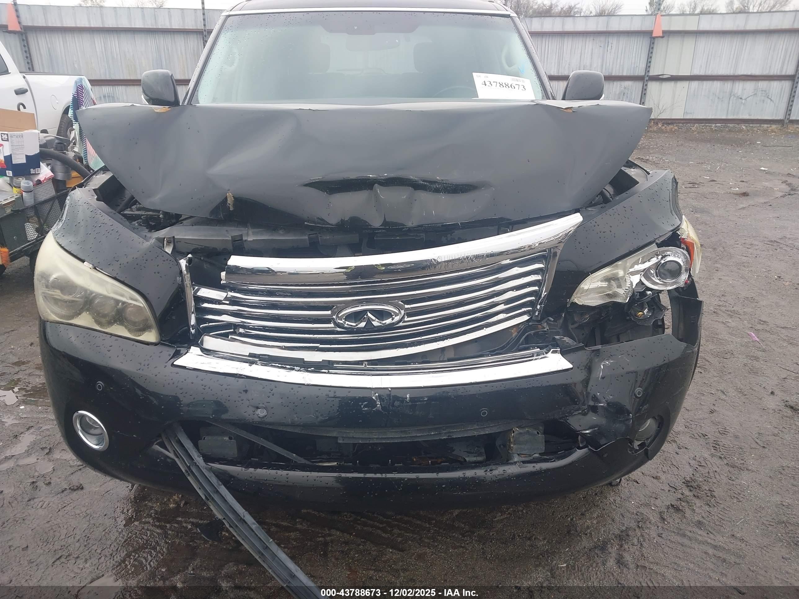INFINITI QX80 image 6