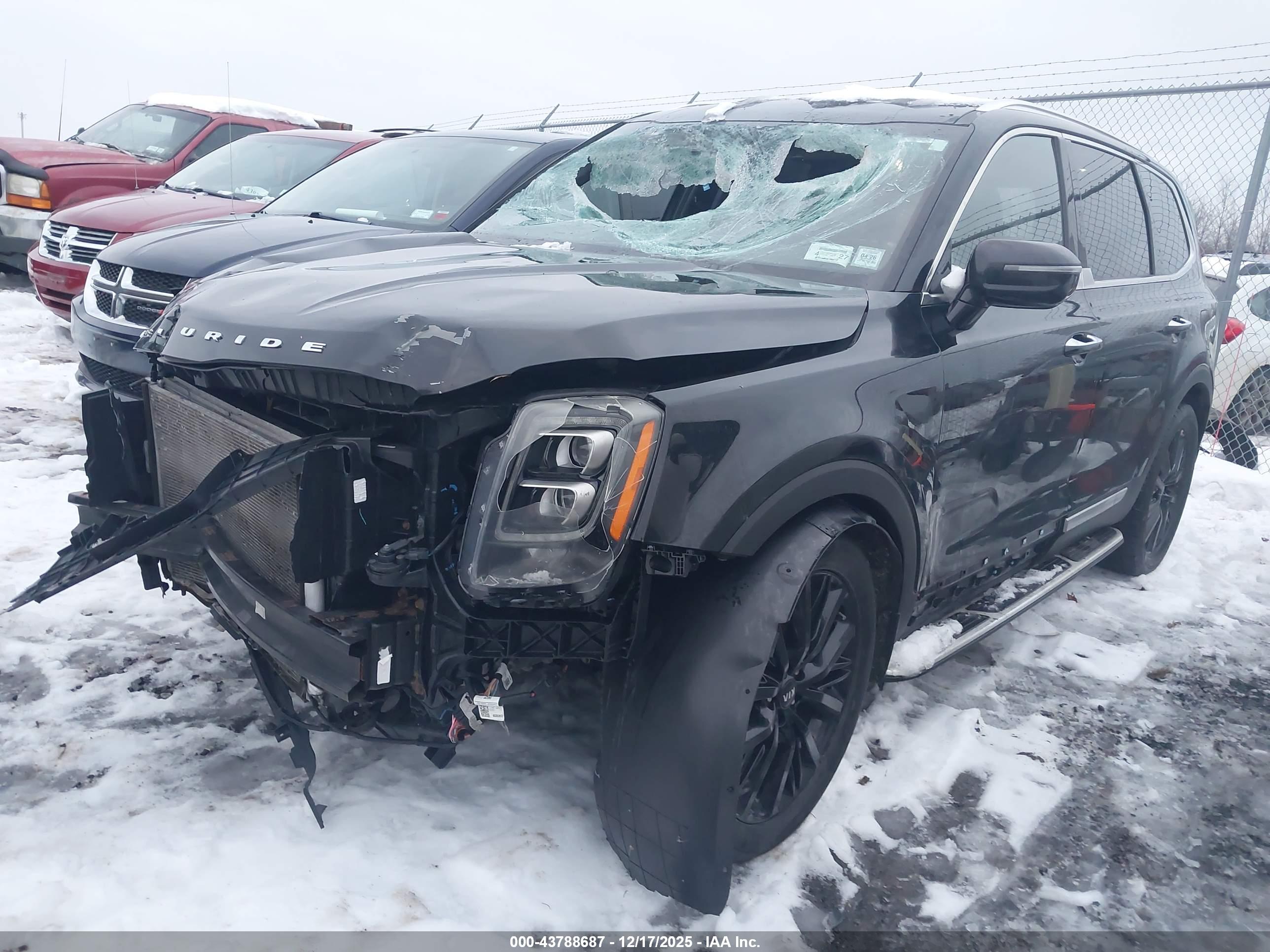 KIA TELLURIDE image 2