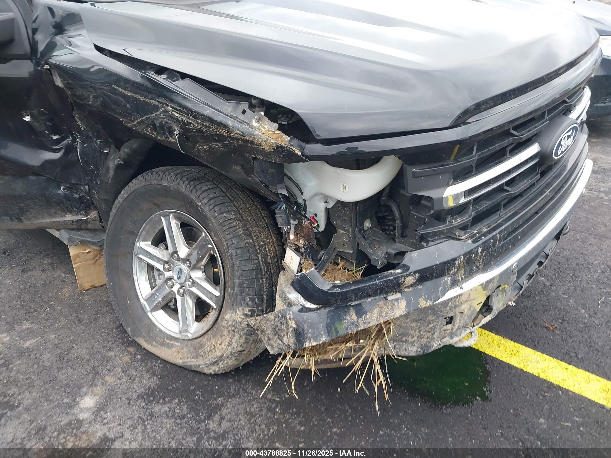 FORD F-150 image 6