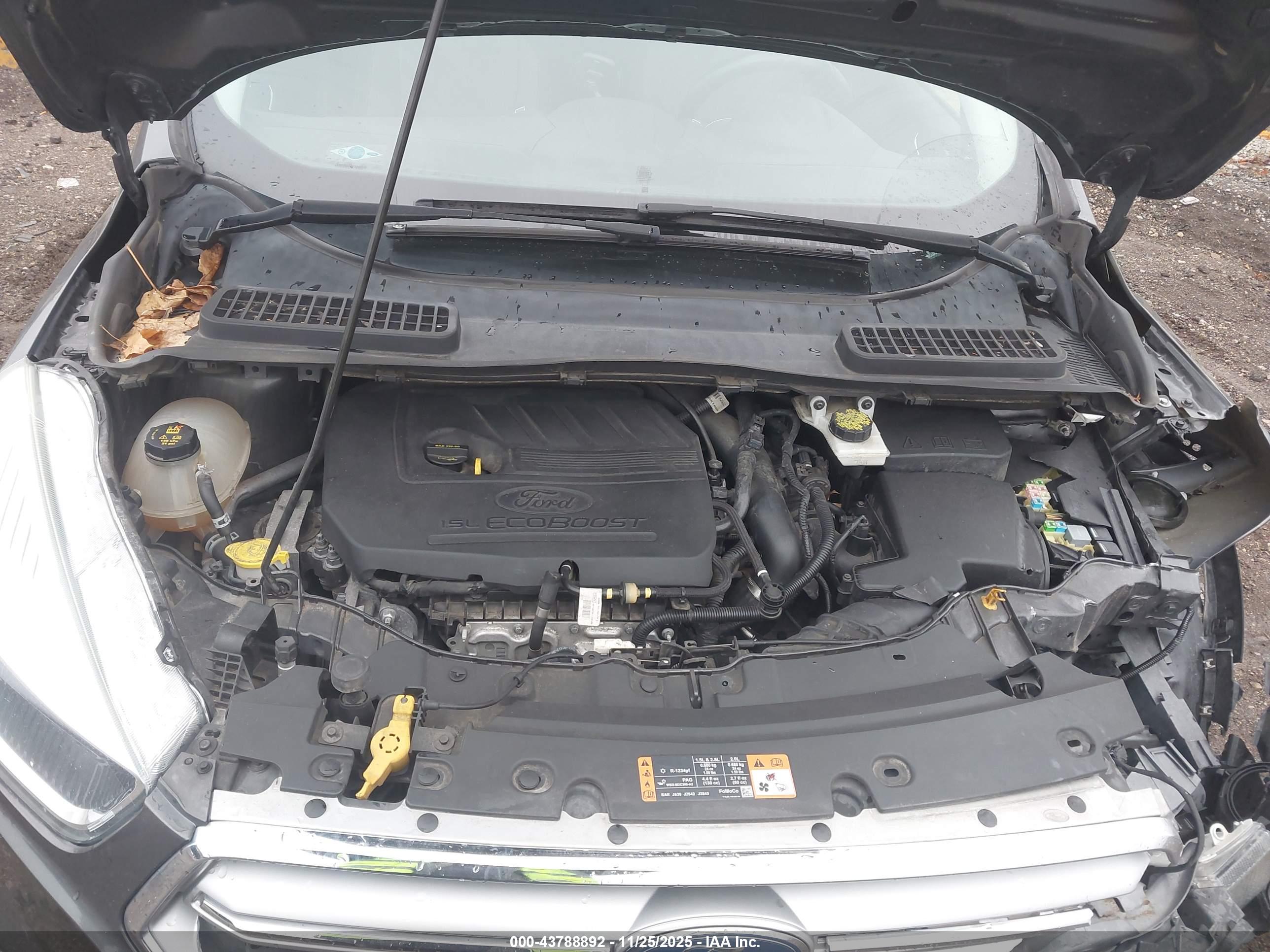 FORD ESCAPE image 10