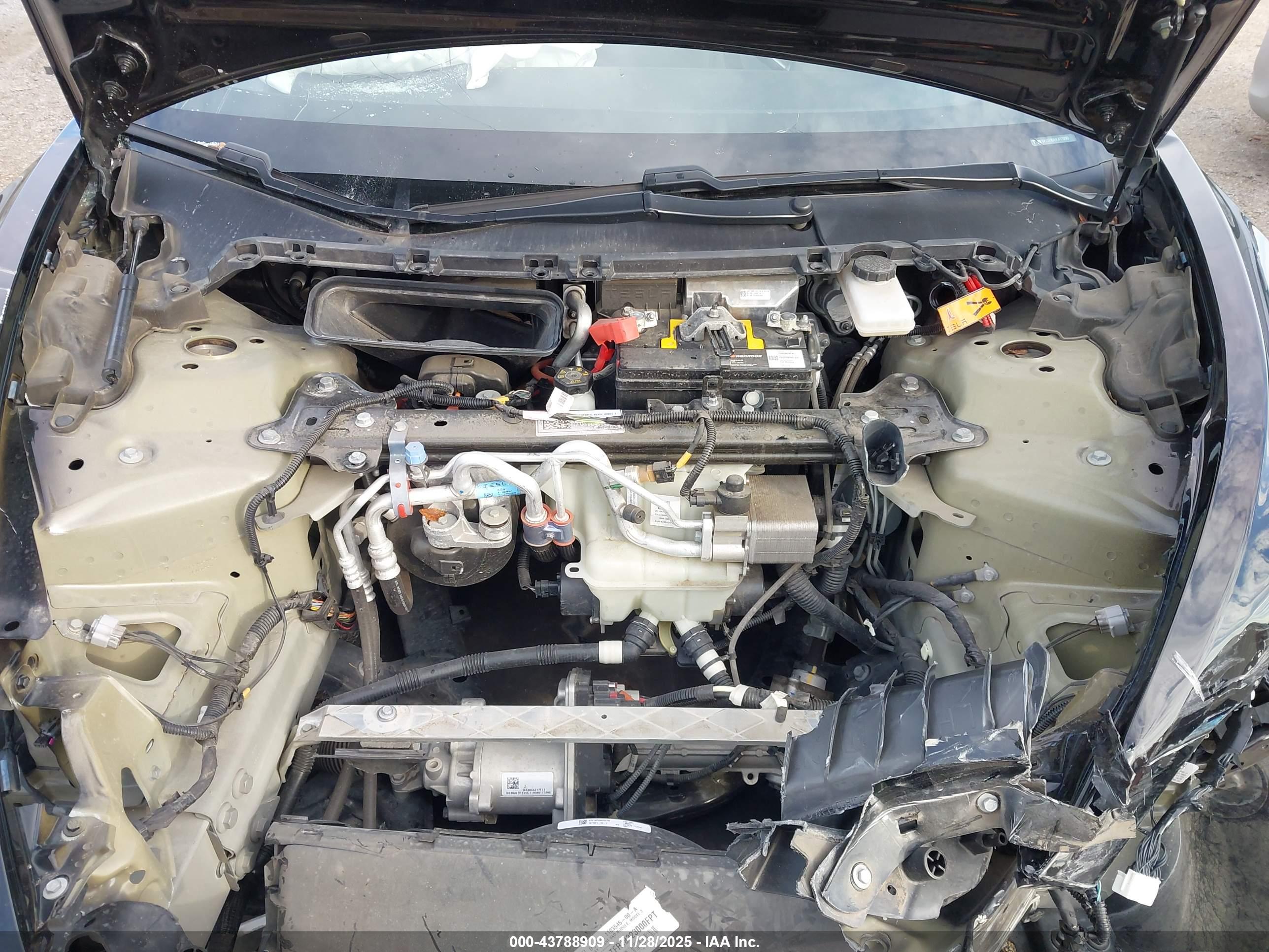 TESLA MODEL image 10