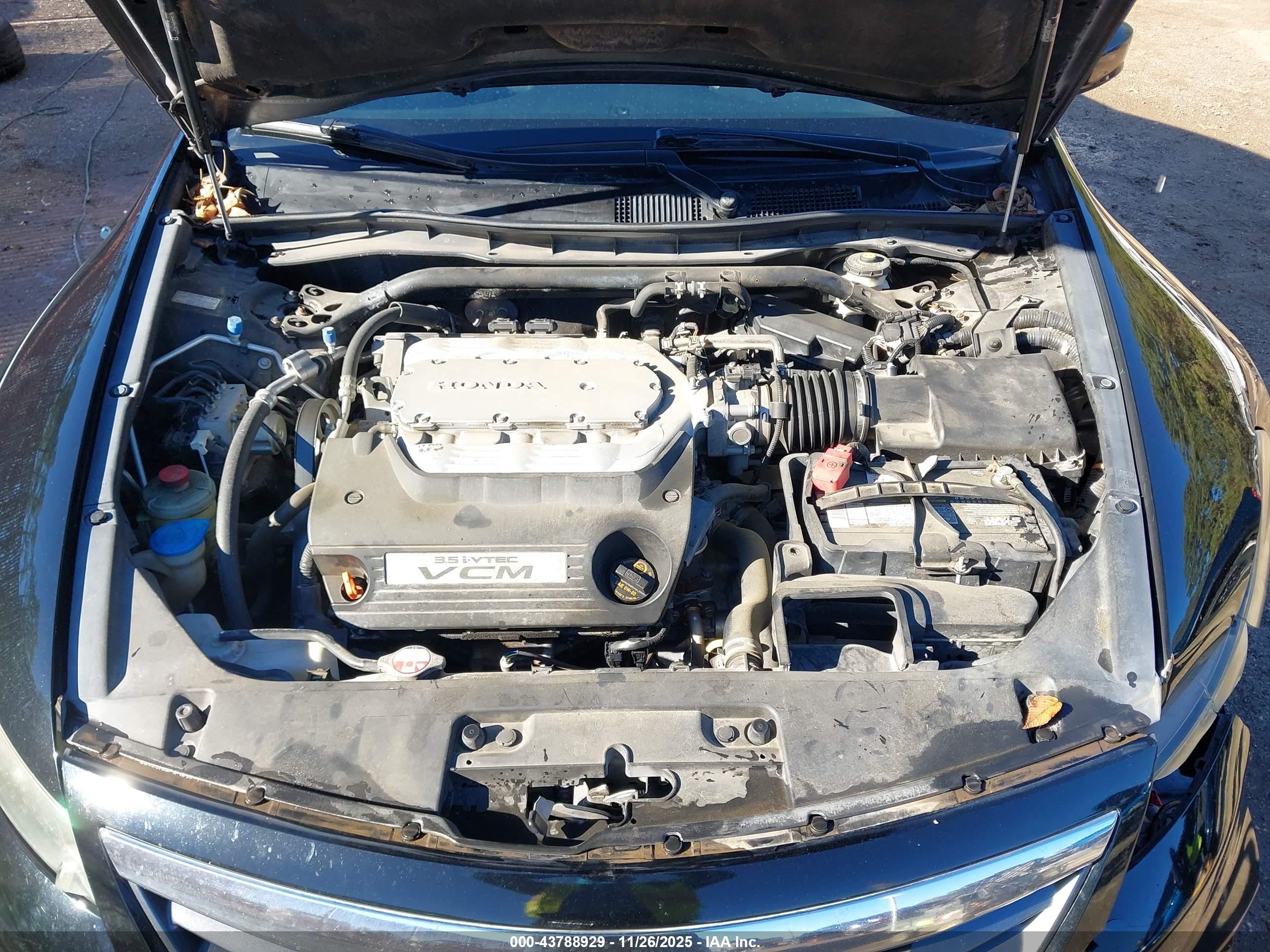 HONDA ACCORD image 10