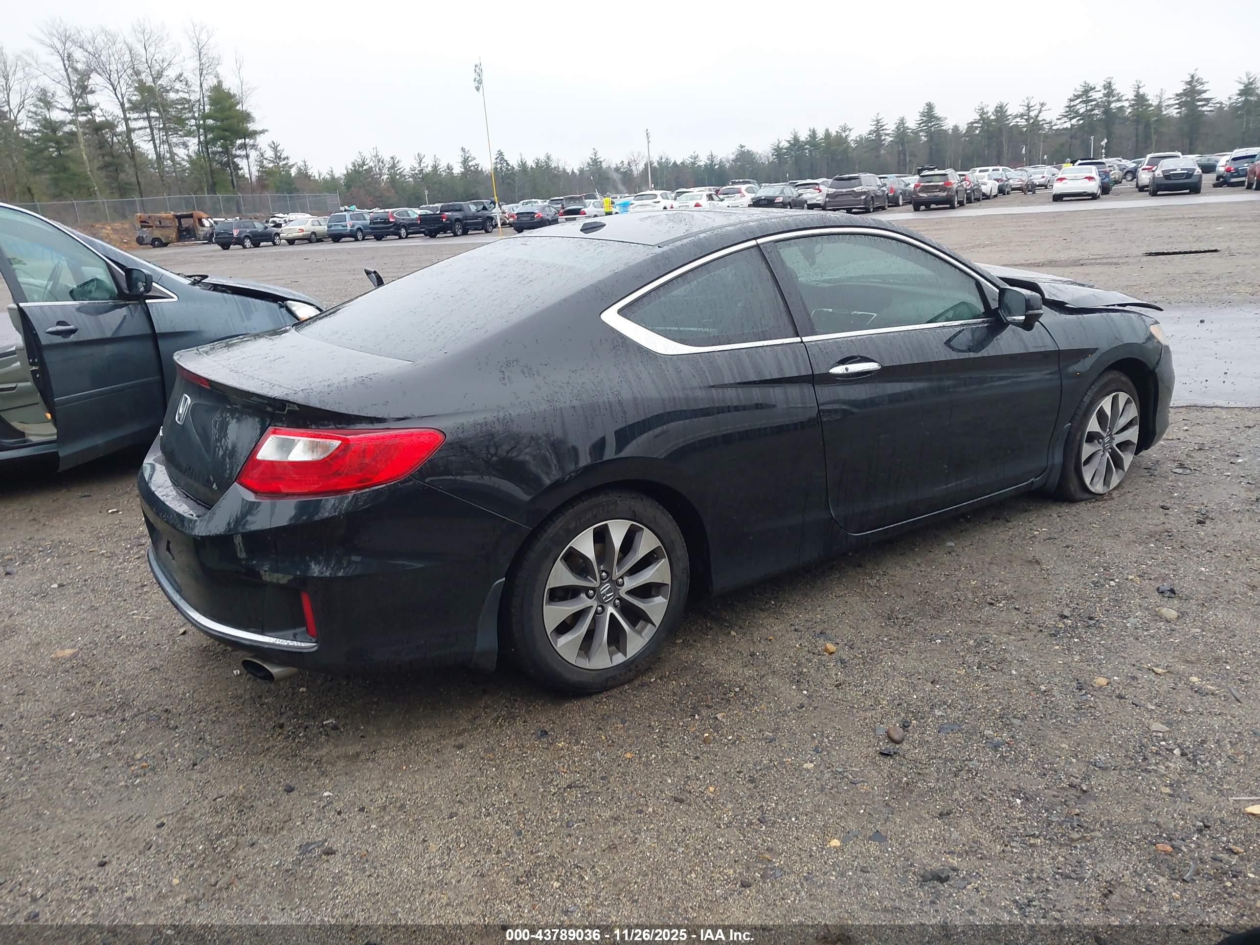 HONDA ACCORD image 4
