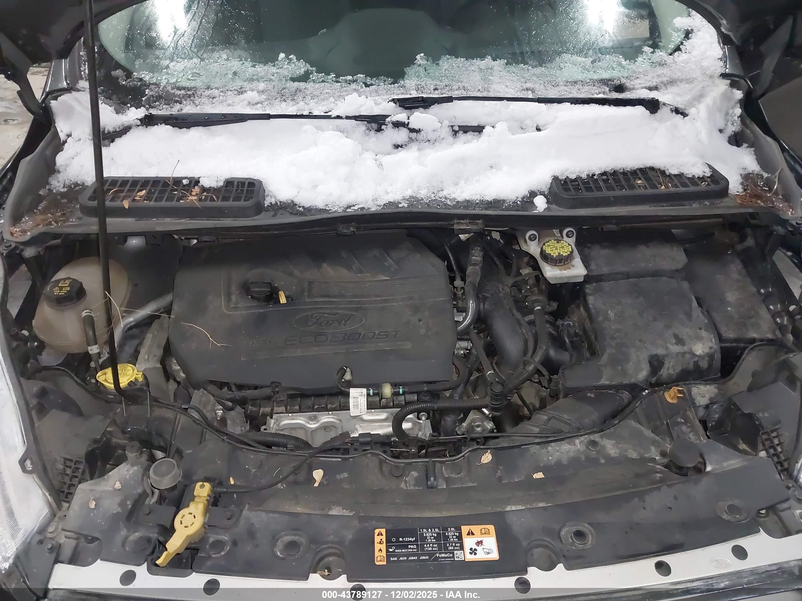 FORD ESCAPE image 10