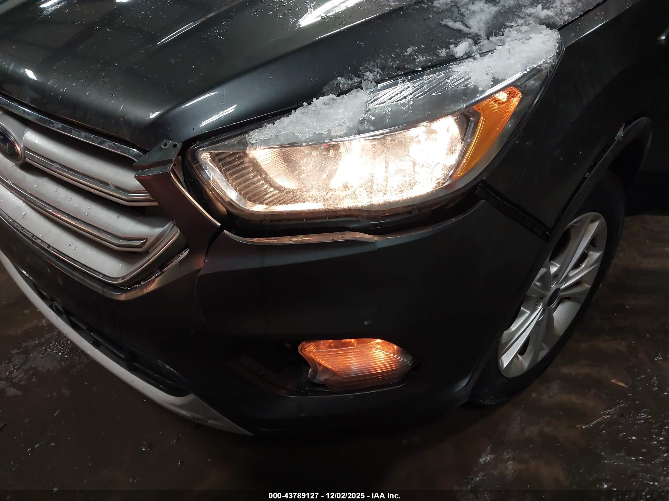 FORD ESCAPE image 6