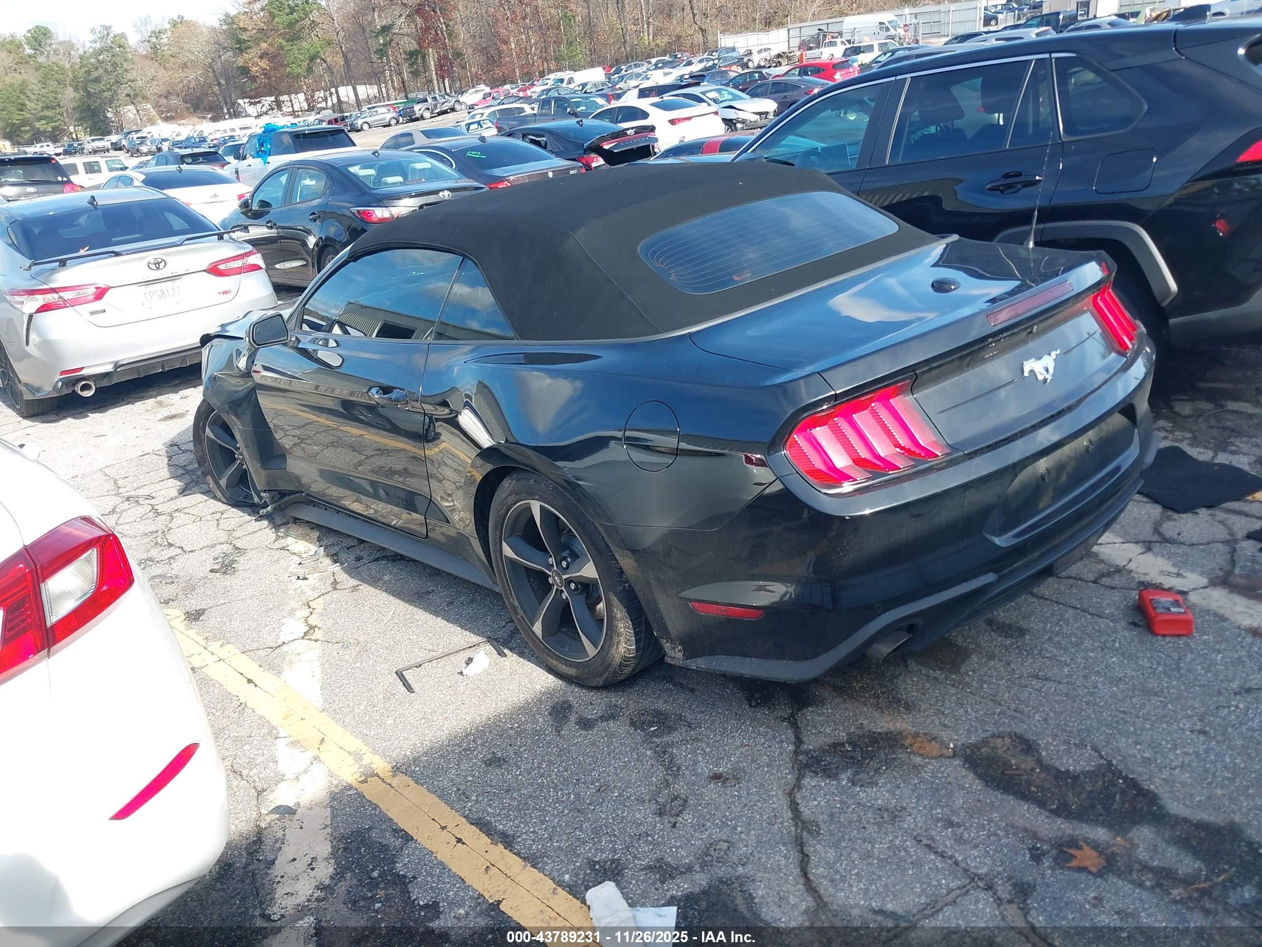 FORD MUSTANG image 3