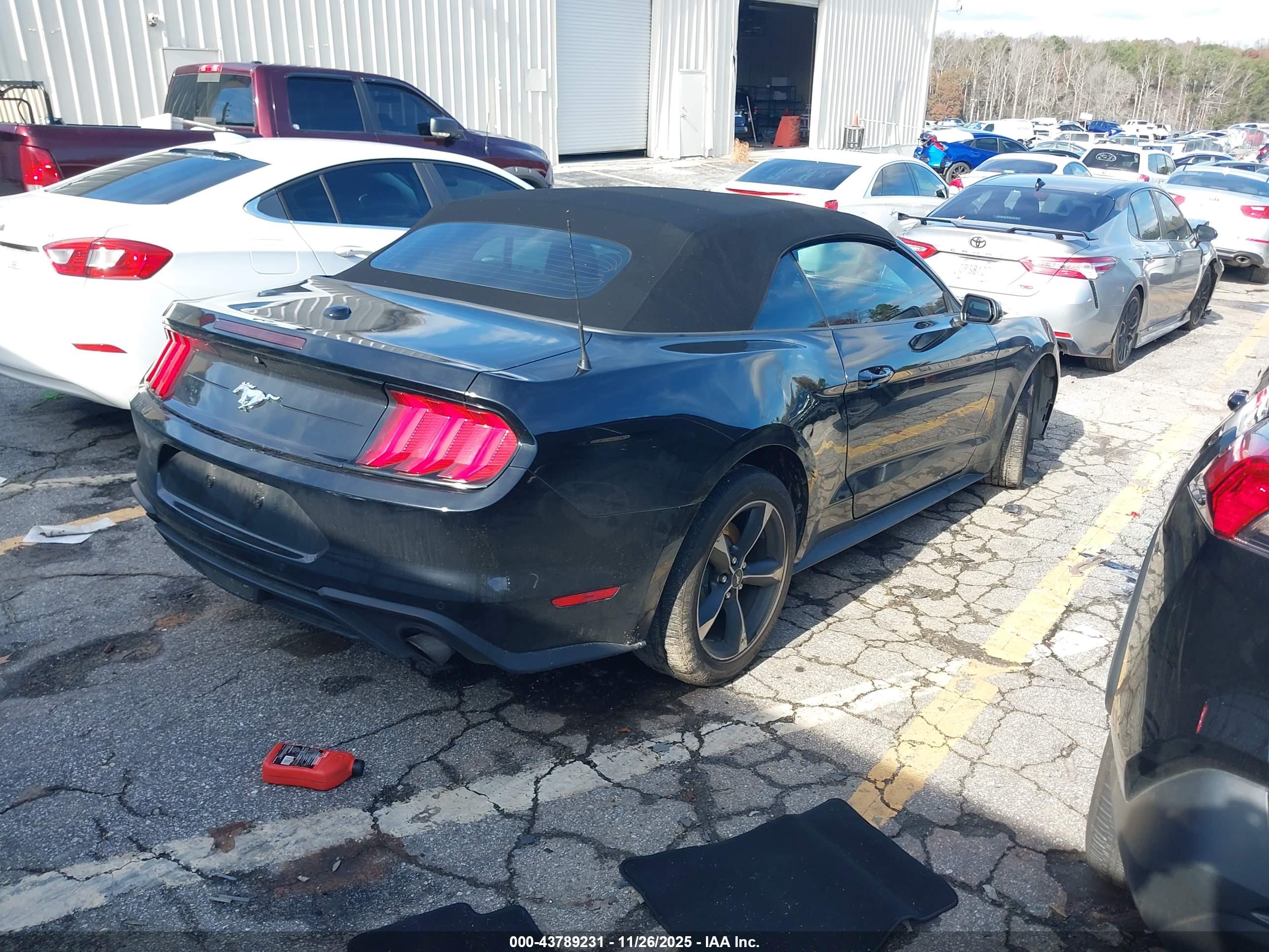 FORD MUSTANG image 4