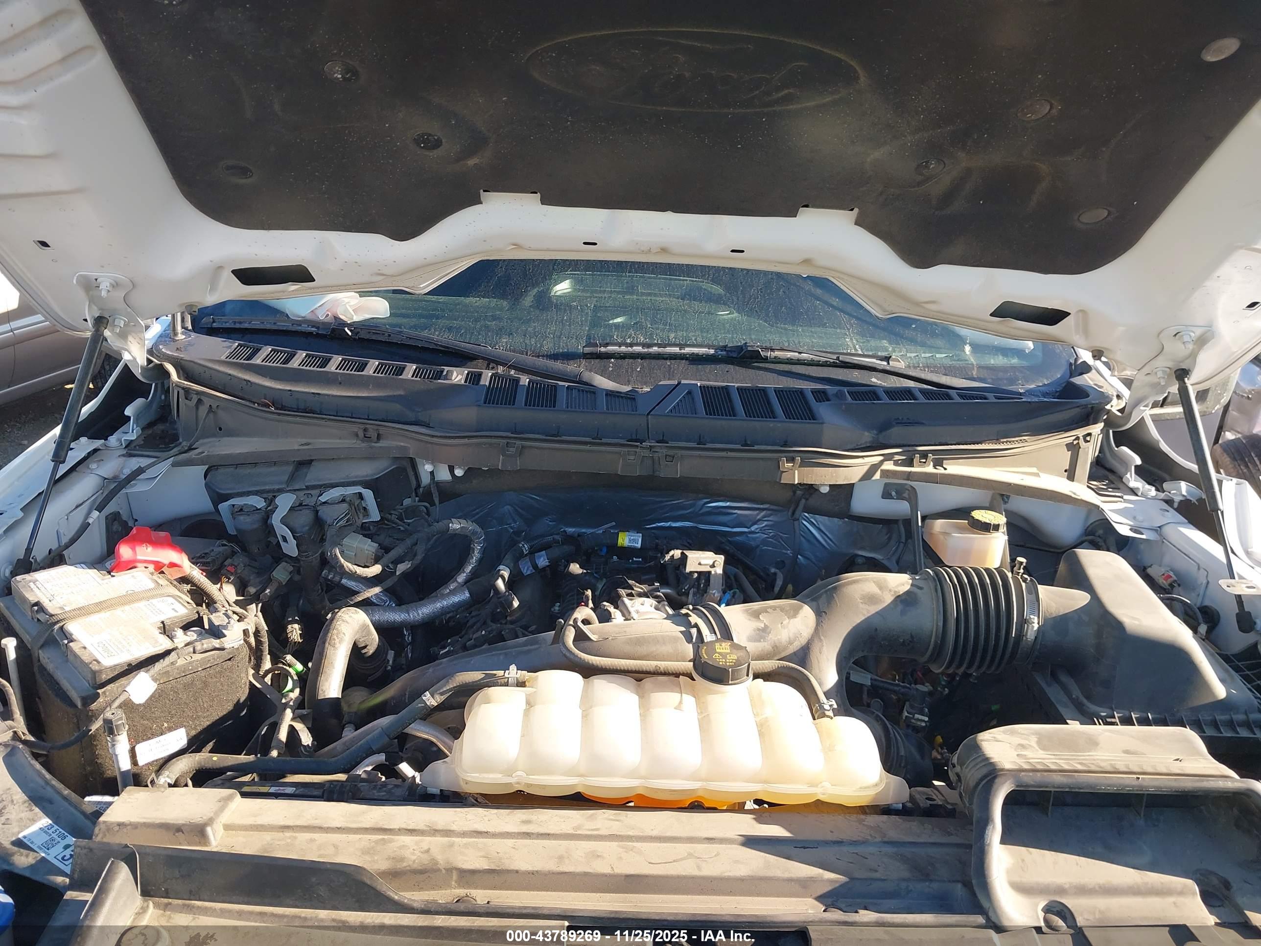 FORD F-150 image 10