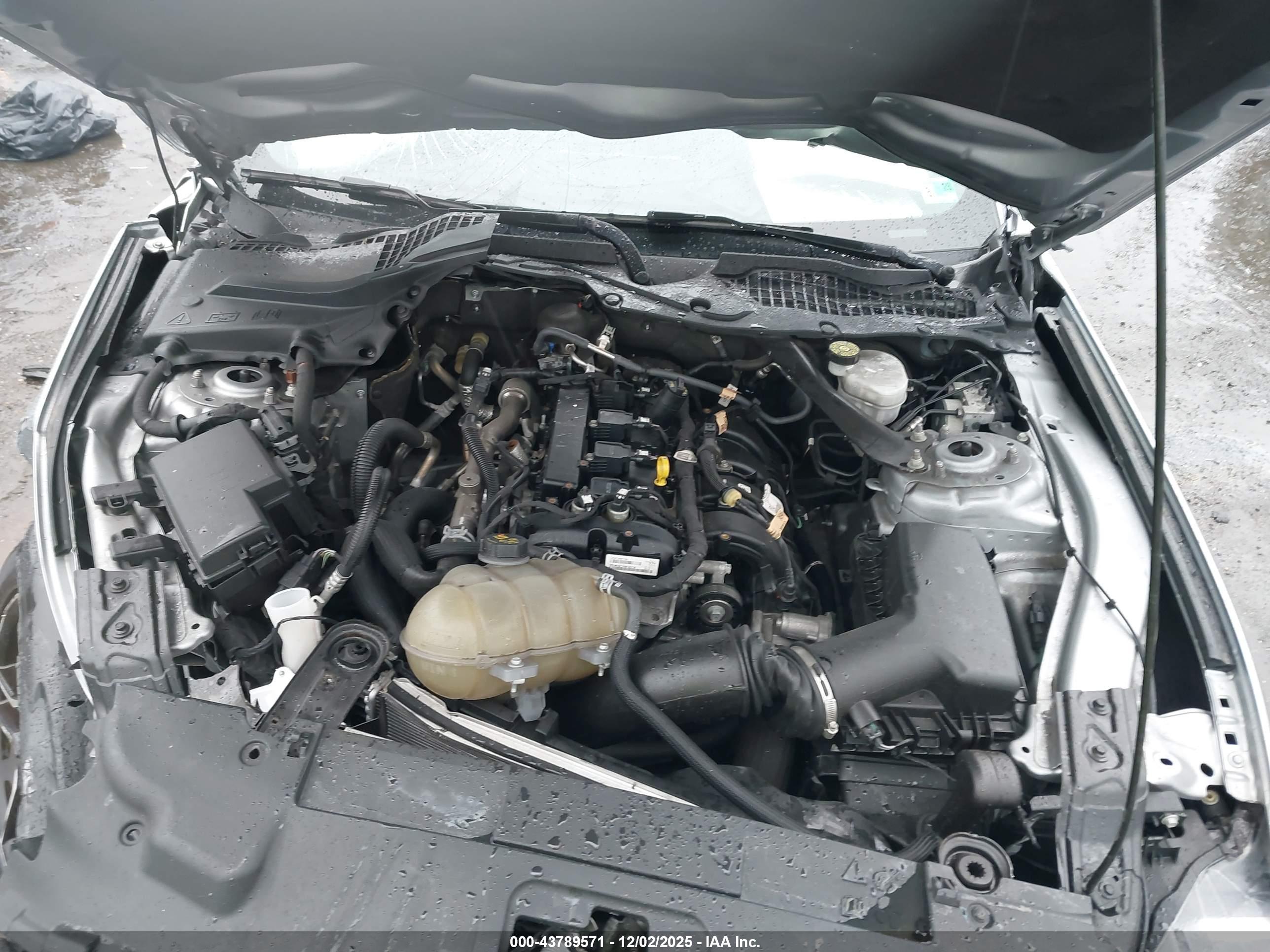 FORD MUSTANG image 10