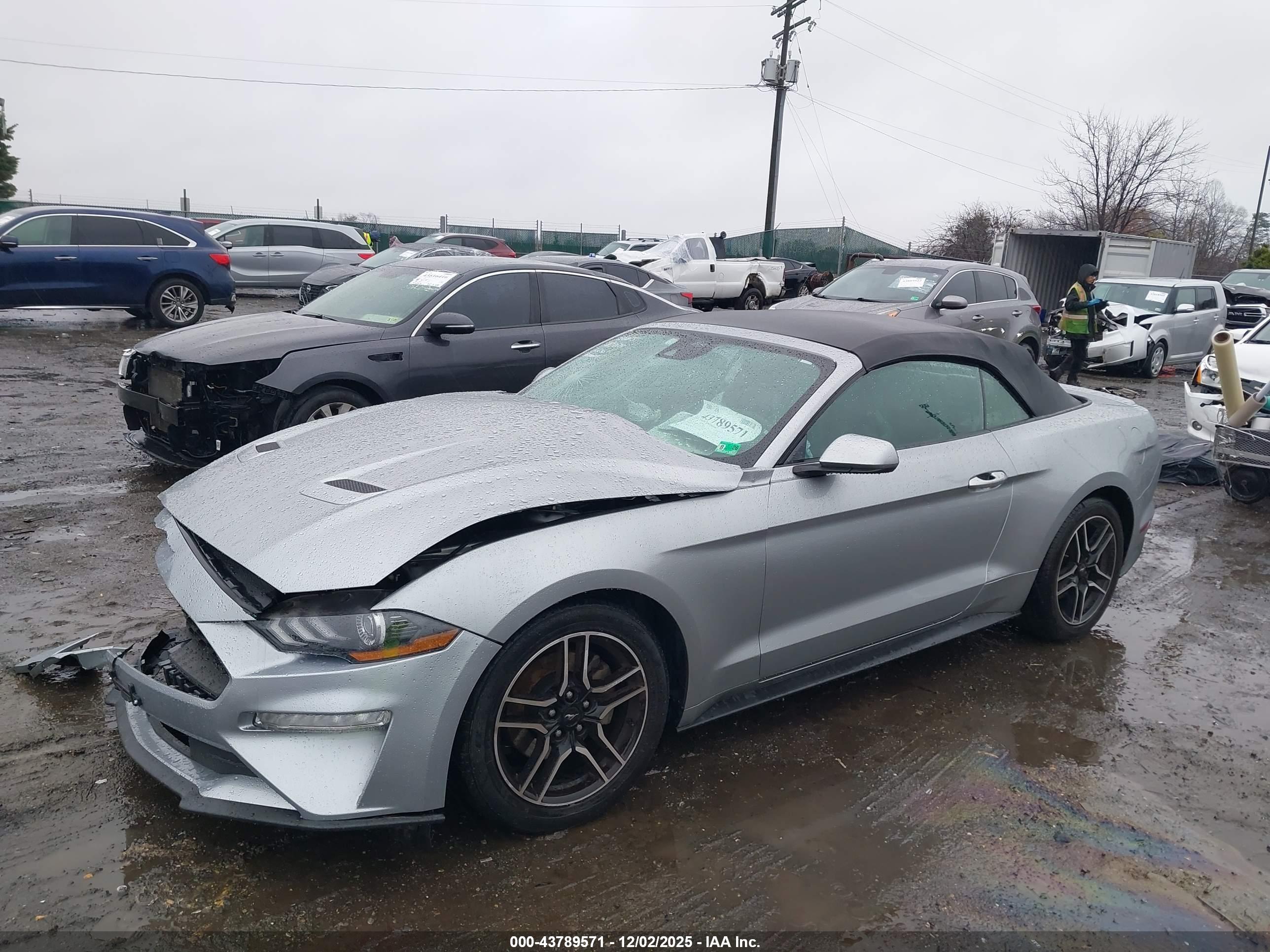 FORD MUSTANG image 2