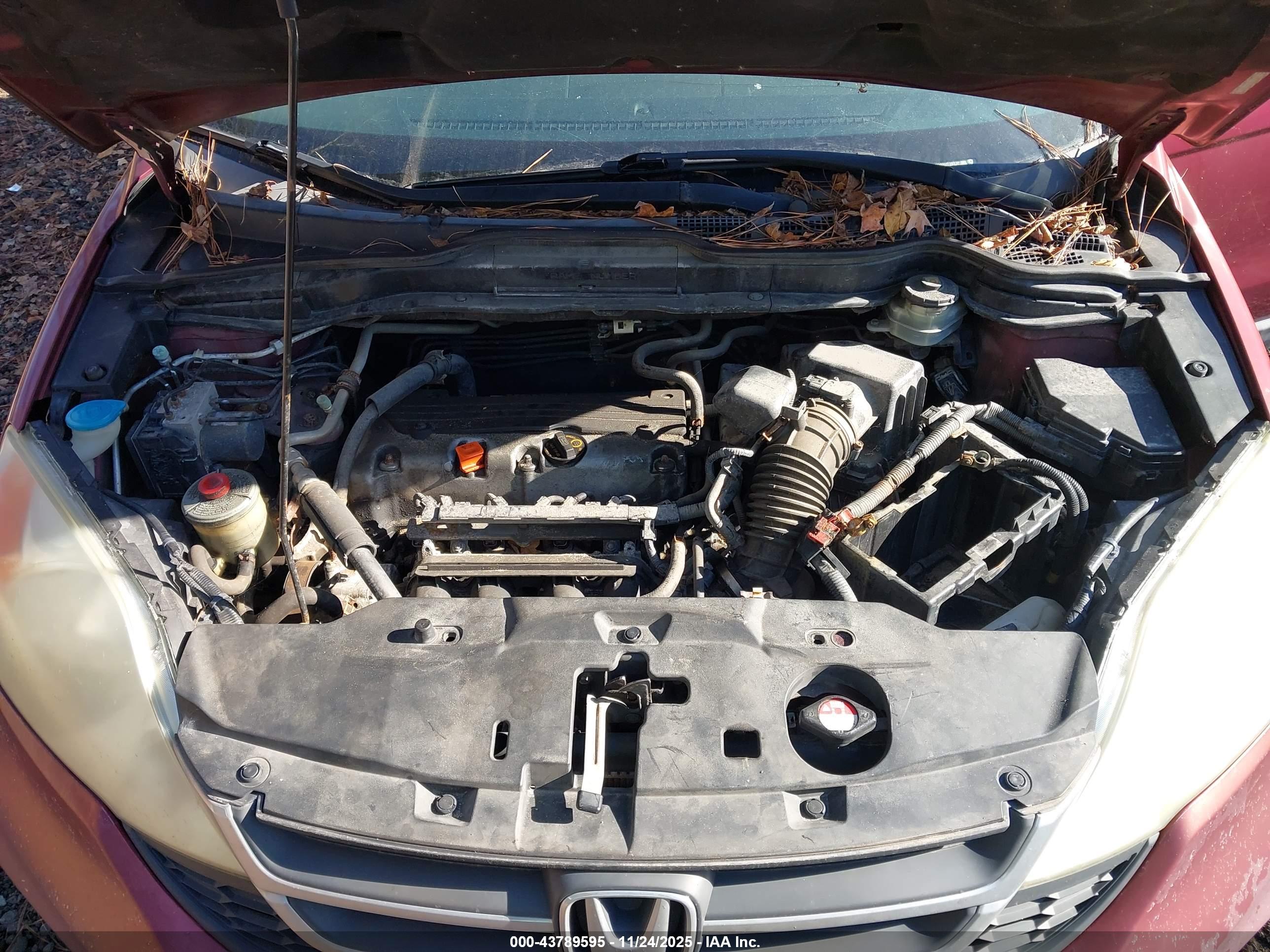HONDA CR-V image 10