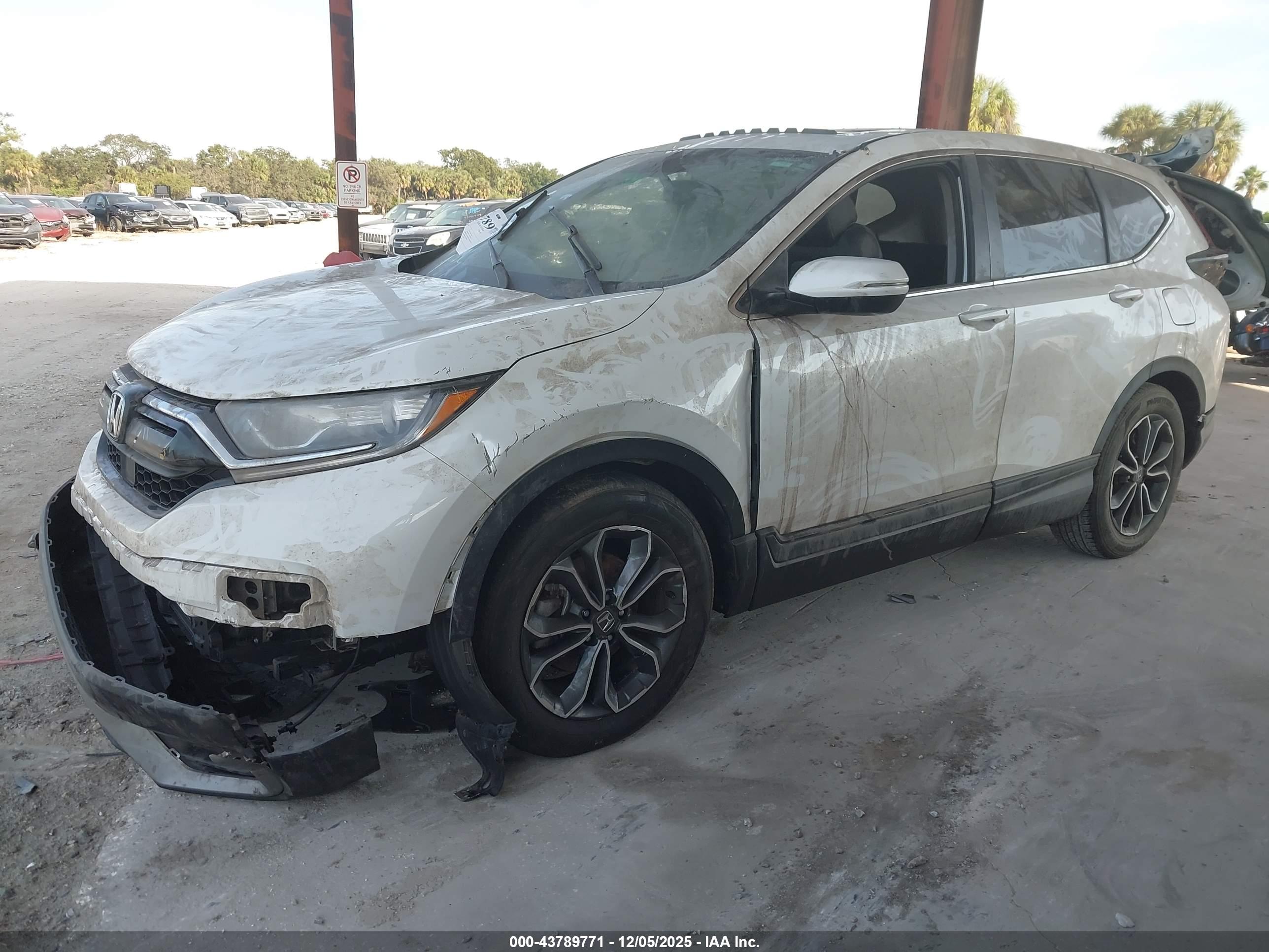 HONDA CR-V image 2