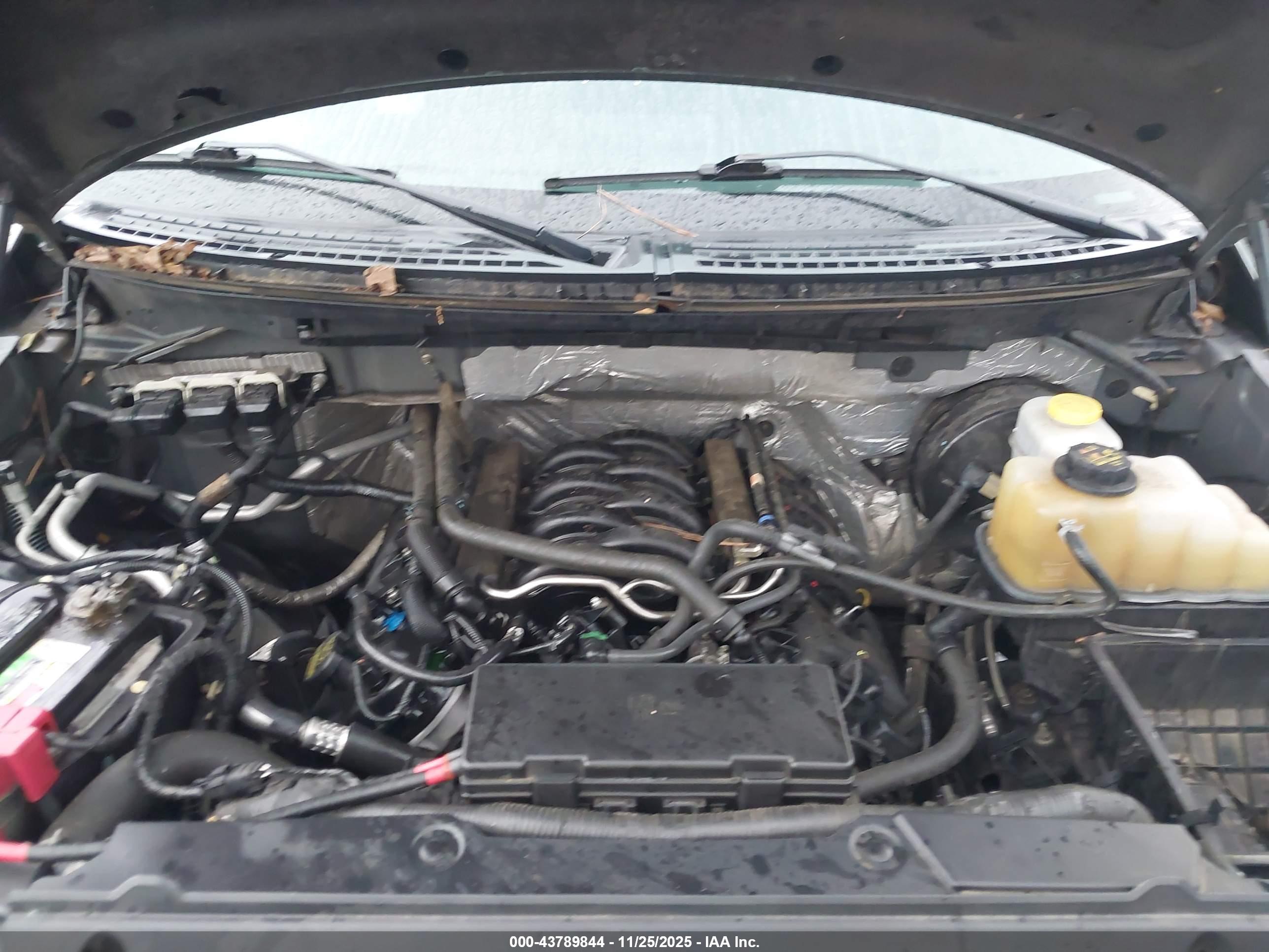 FORD F-150 image 10