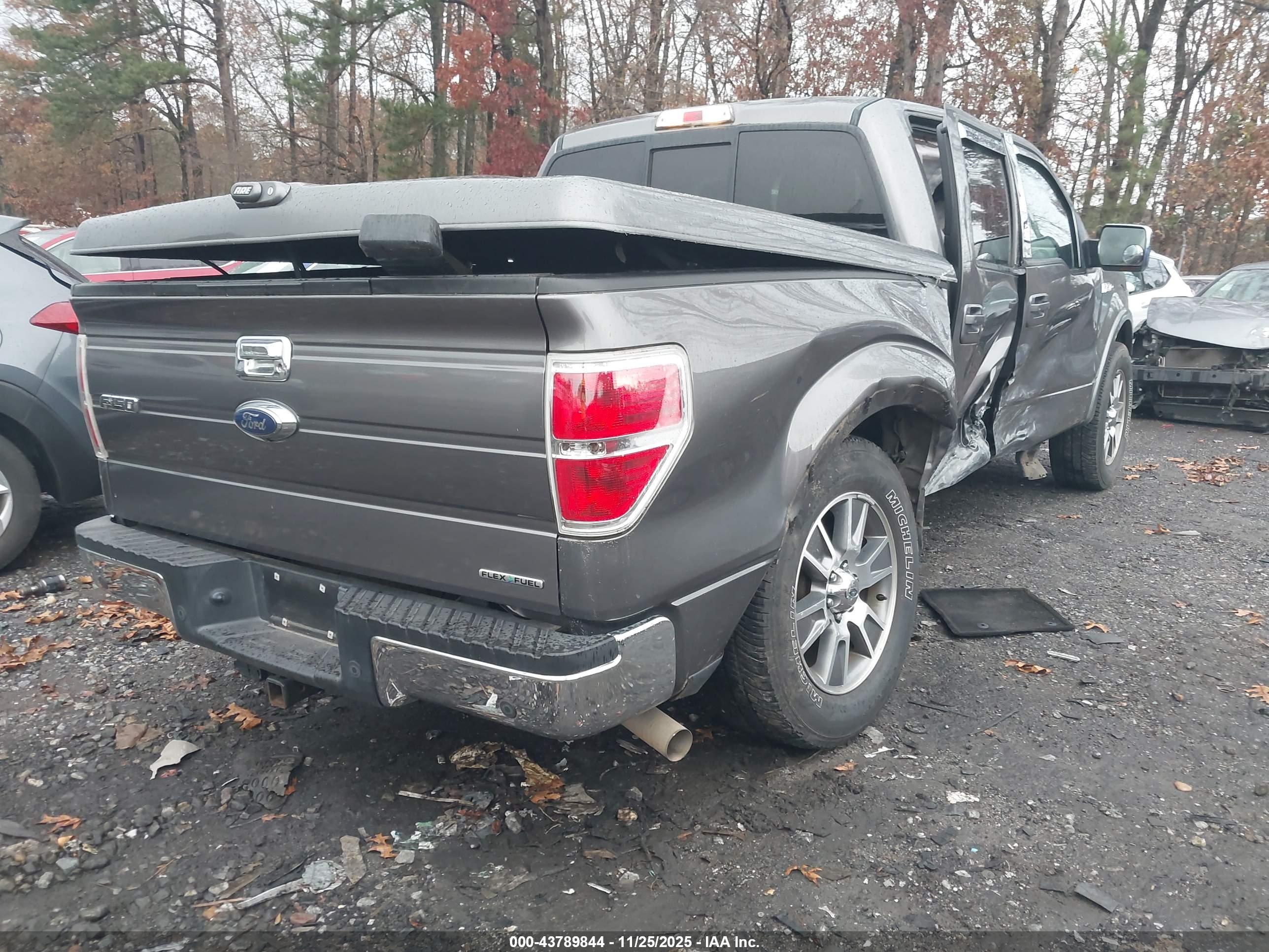 FORD F-150 image 4