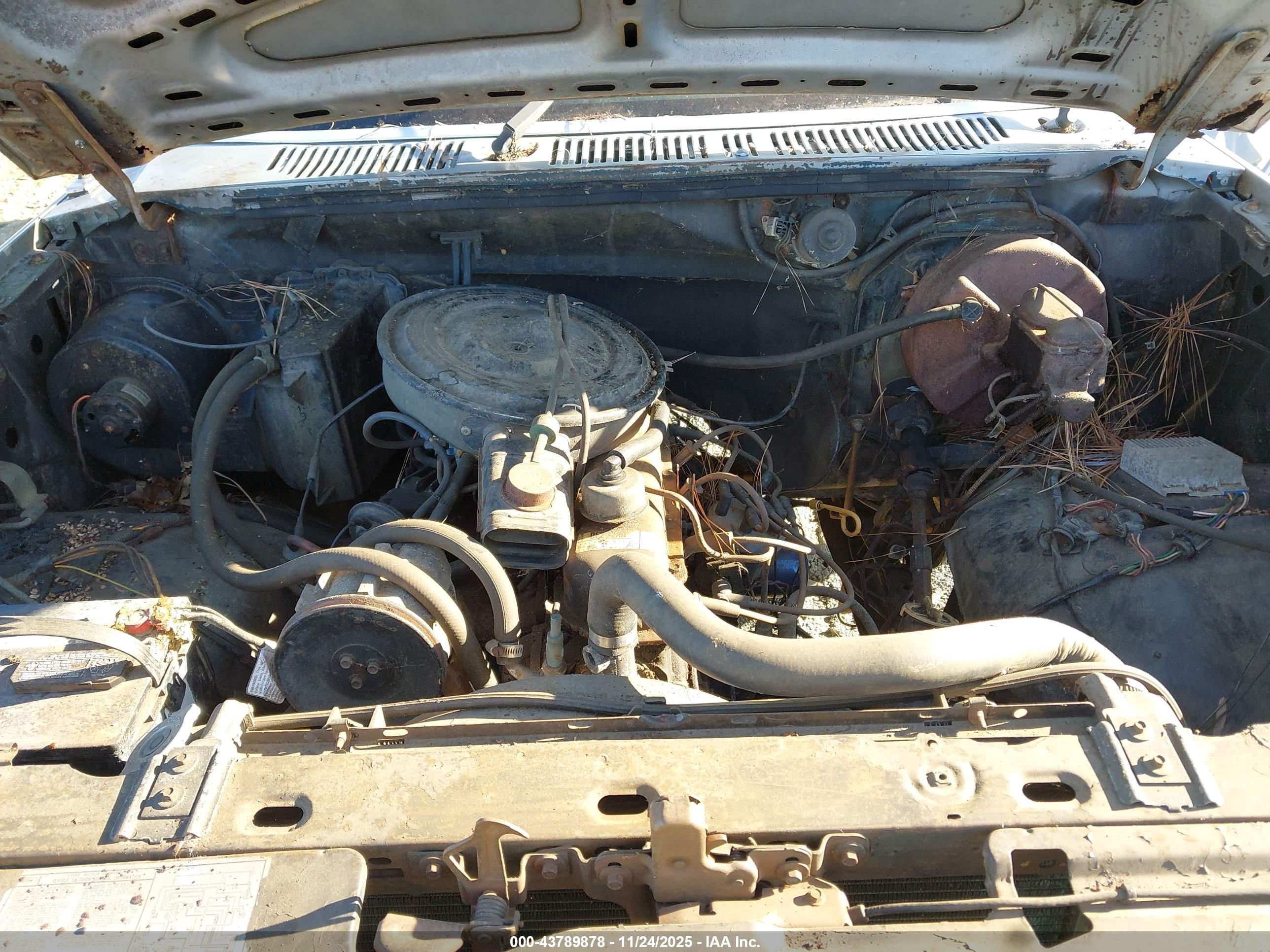 FORD F100 image 10