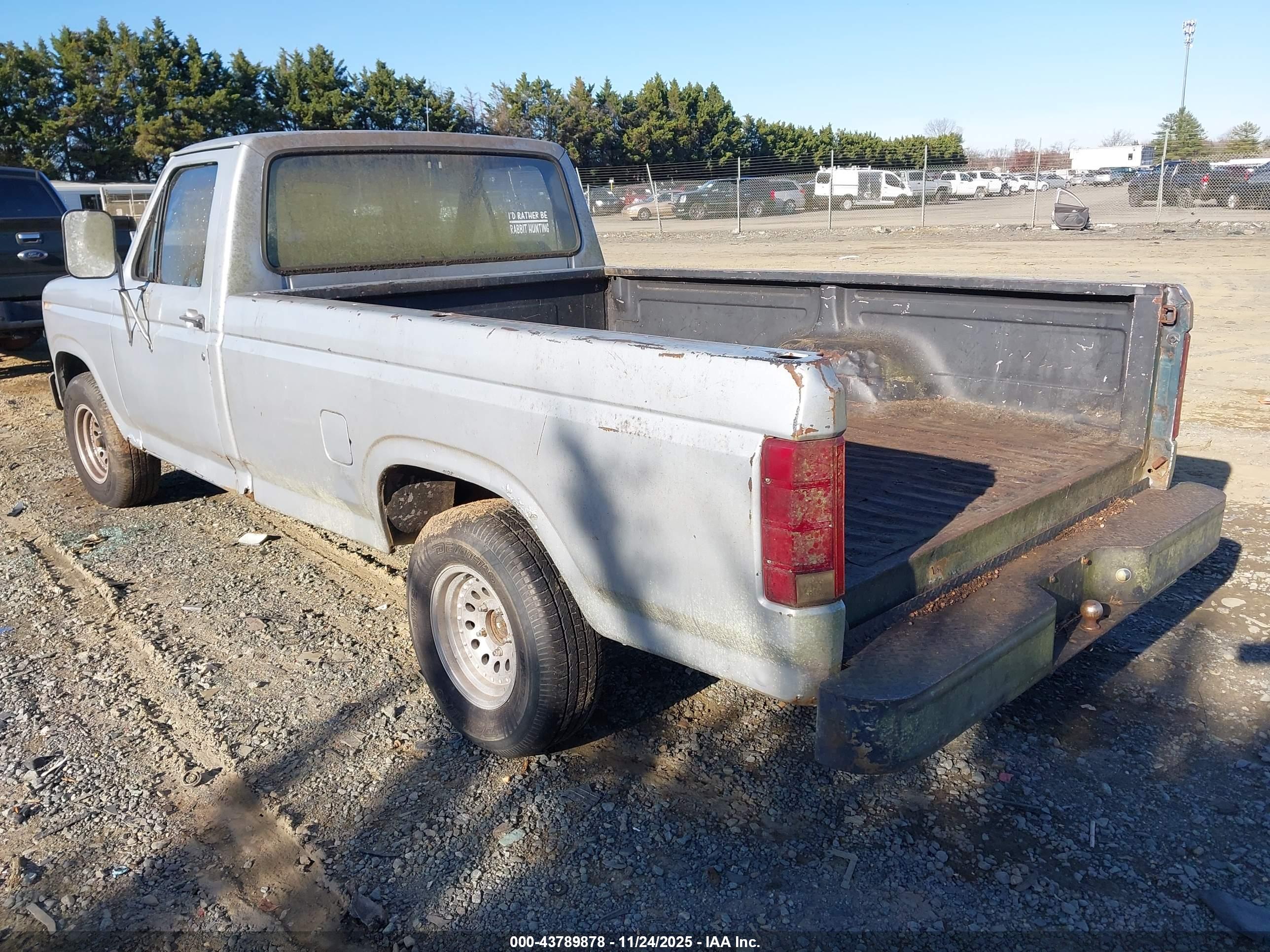 FORD F100 image 3