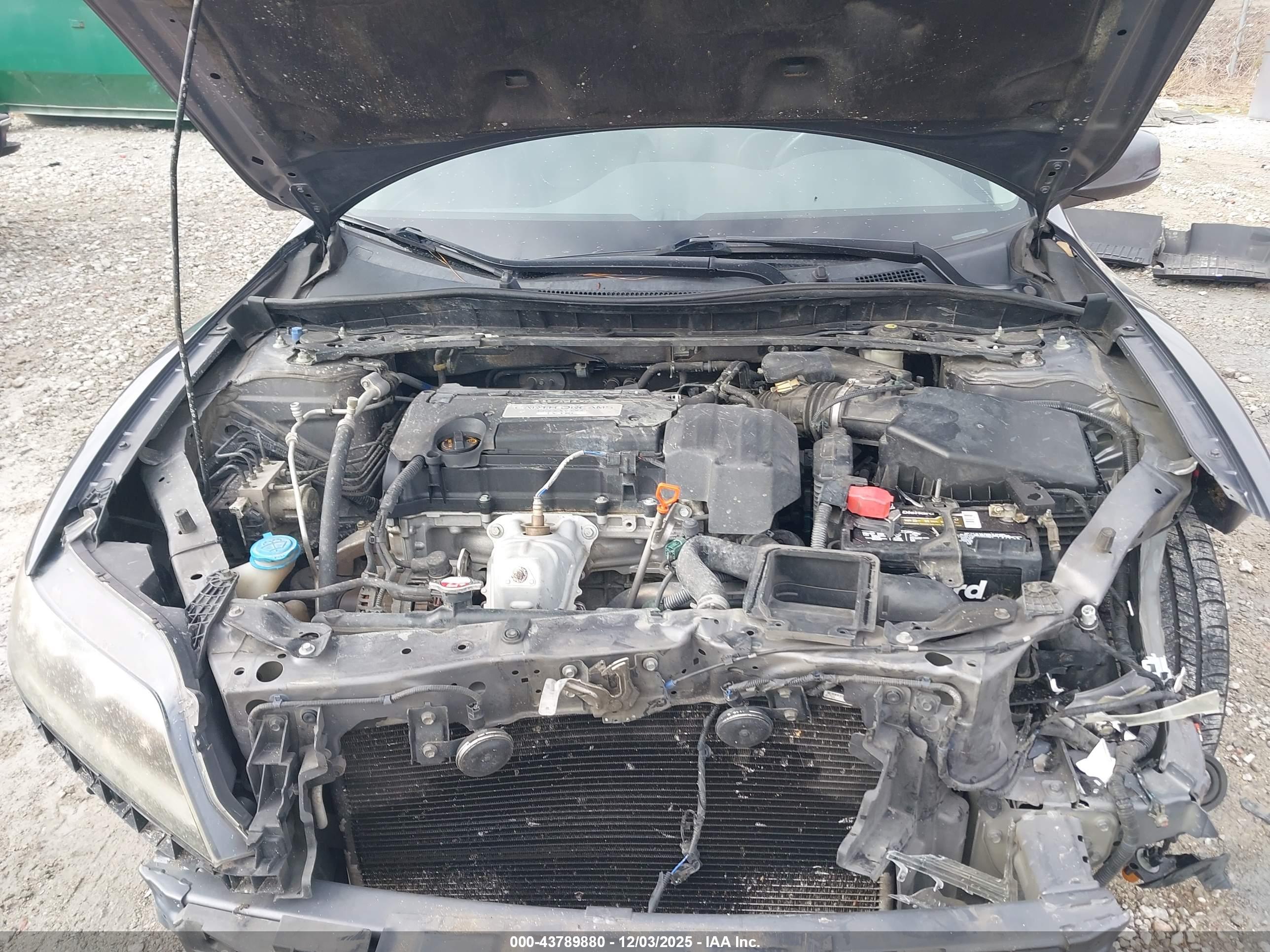 HONDA ACCORD image 10
