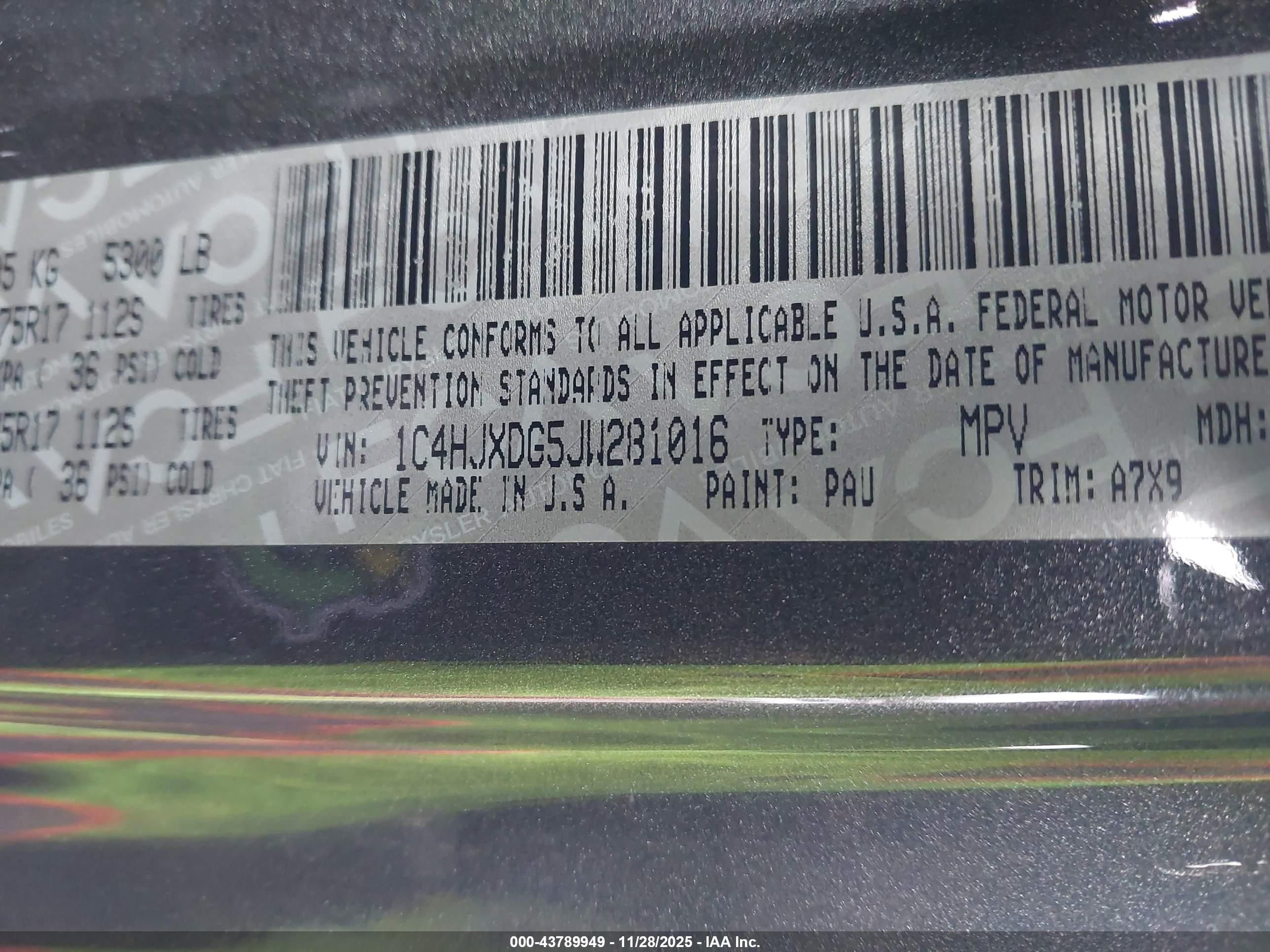 JEEP WRANGLER image 9