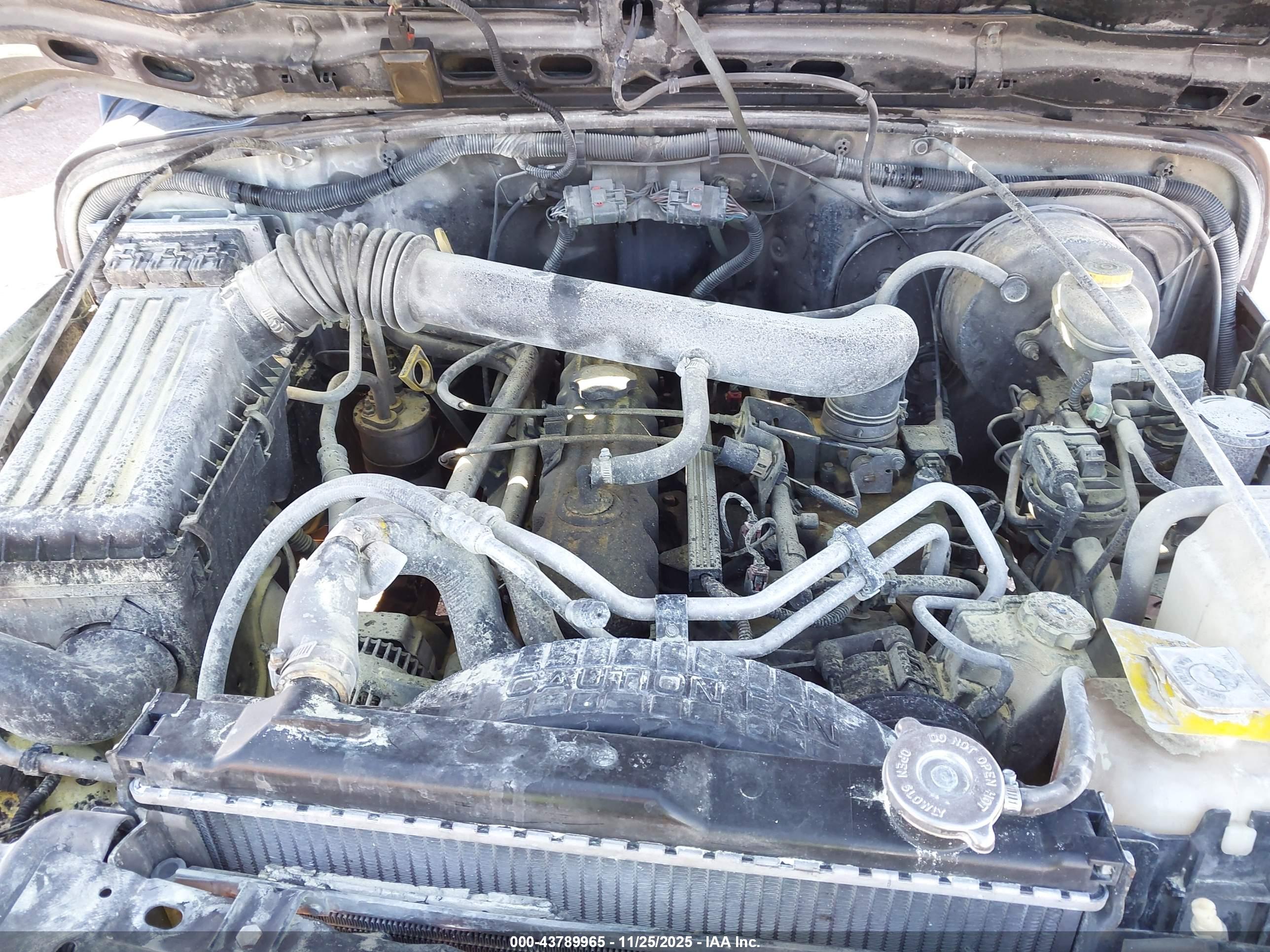 JEEP WRANGLER image 10