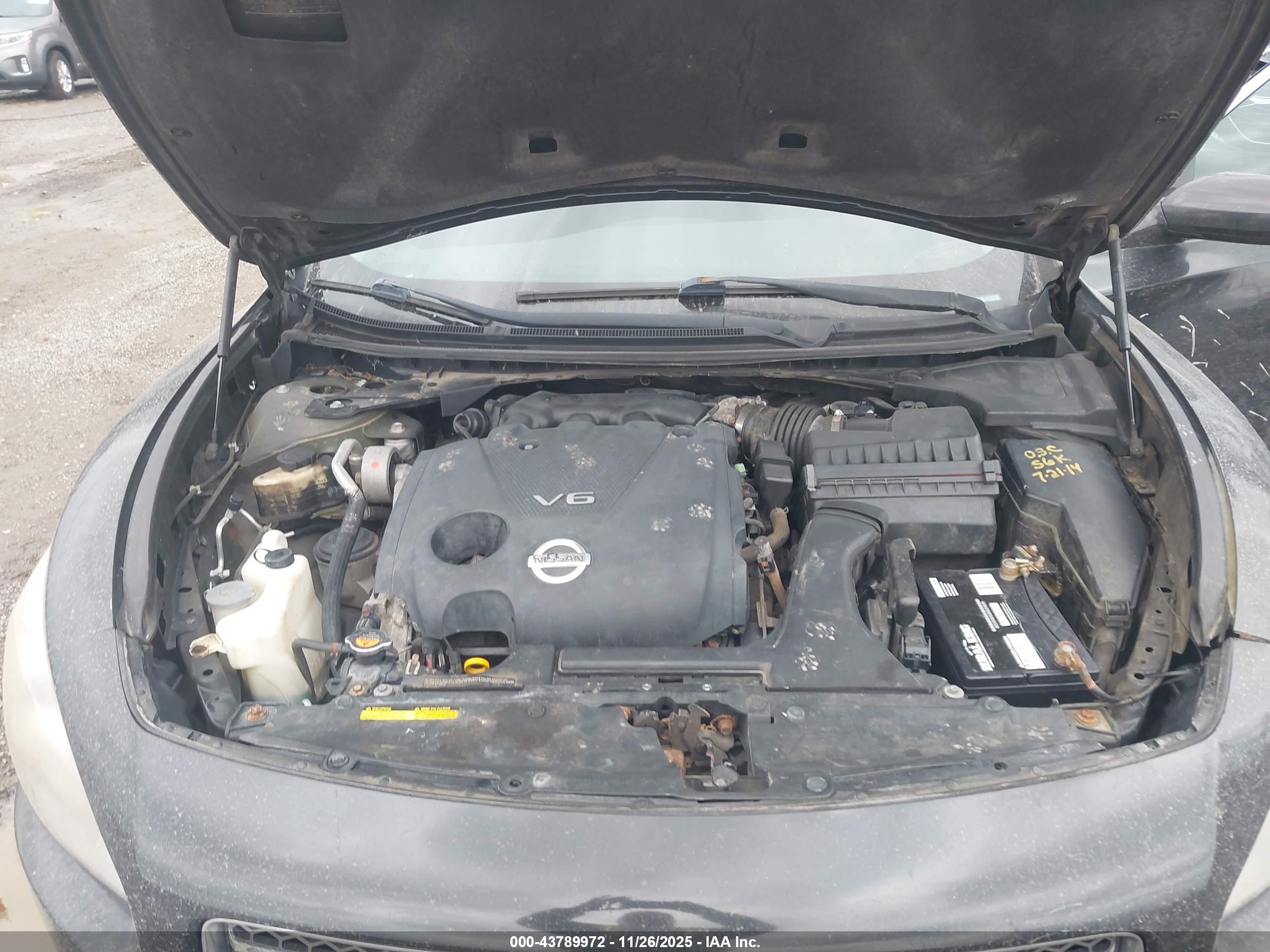 NISSAN MAXIMA image 10