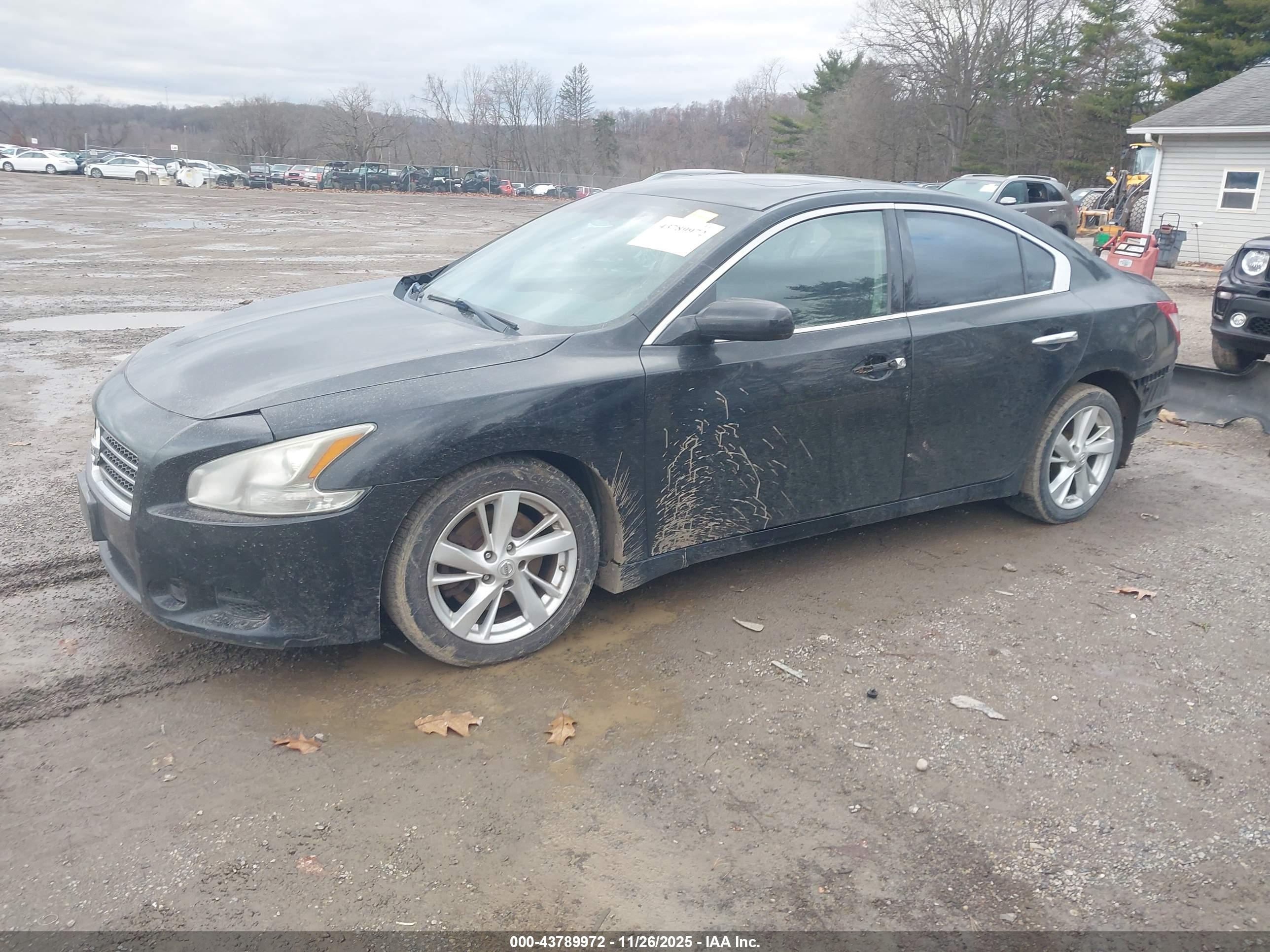 NISSAN MAXIMA image 2