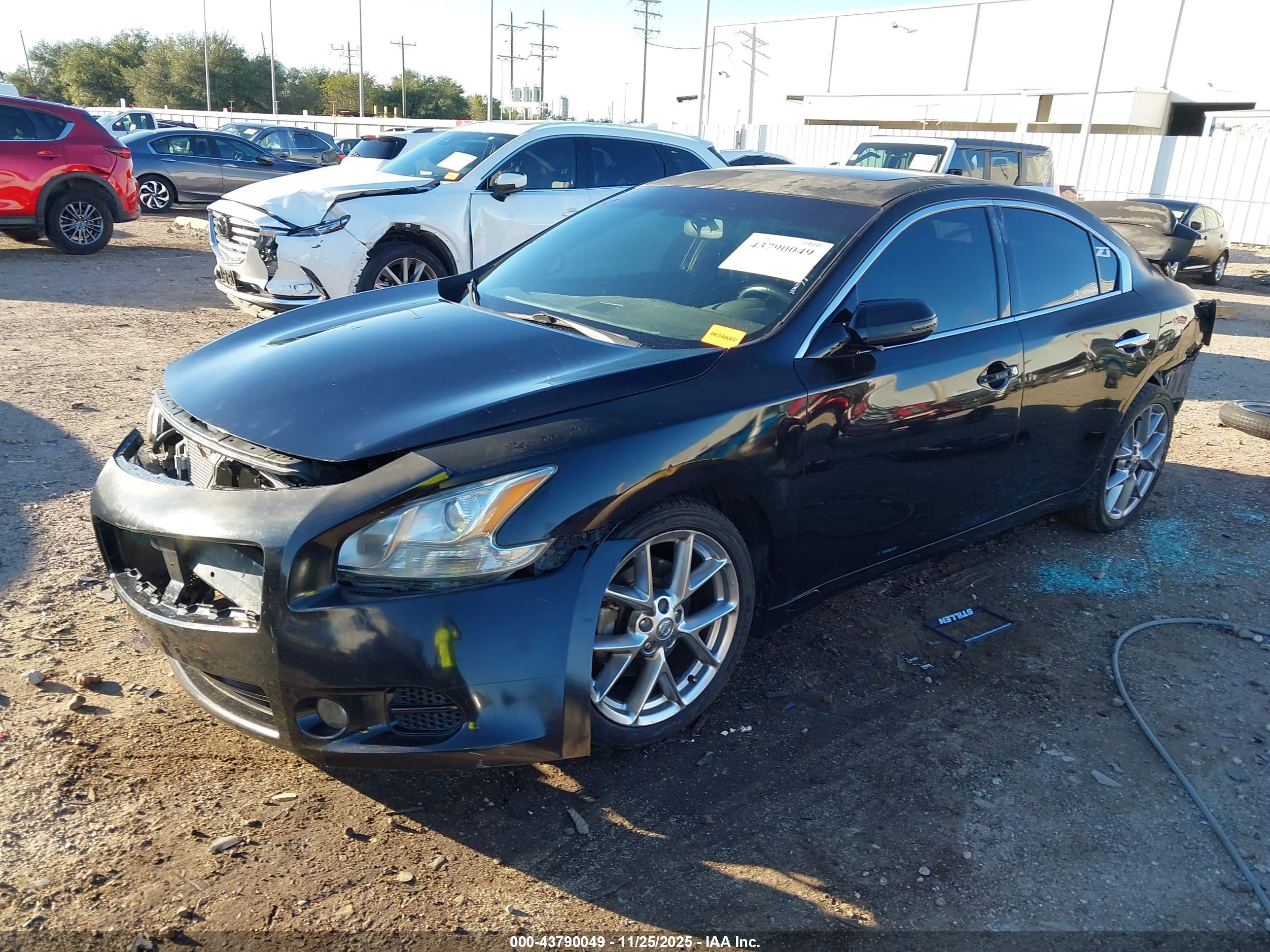NISSAN MAXIMA image 2