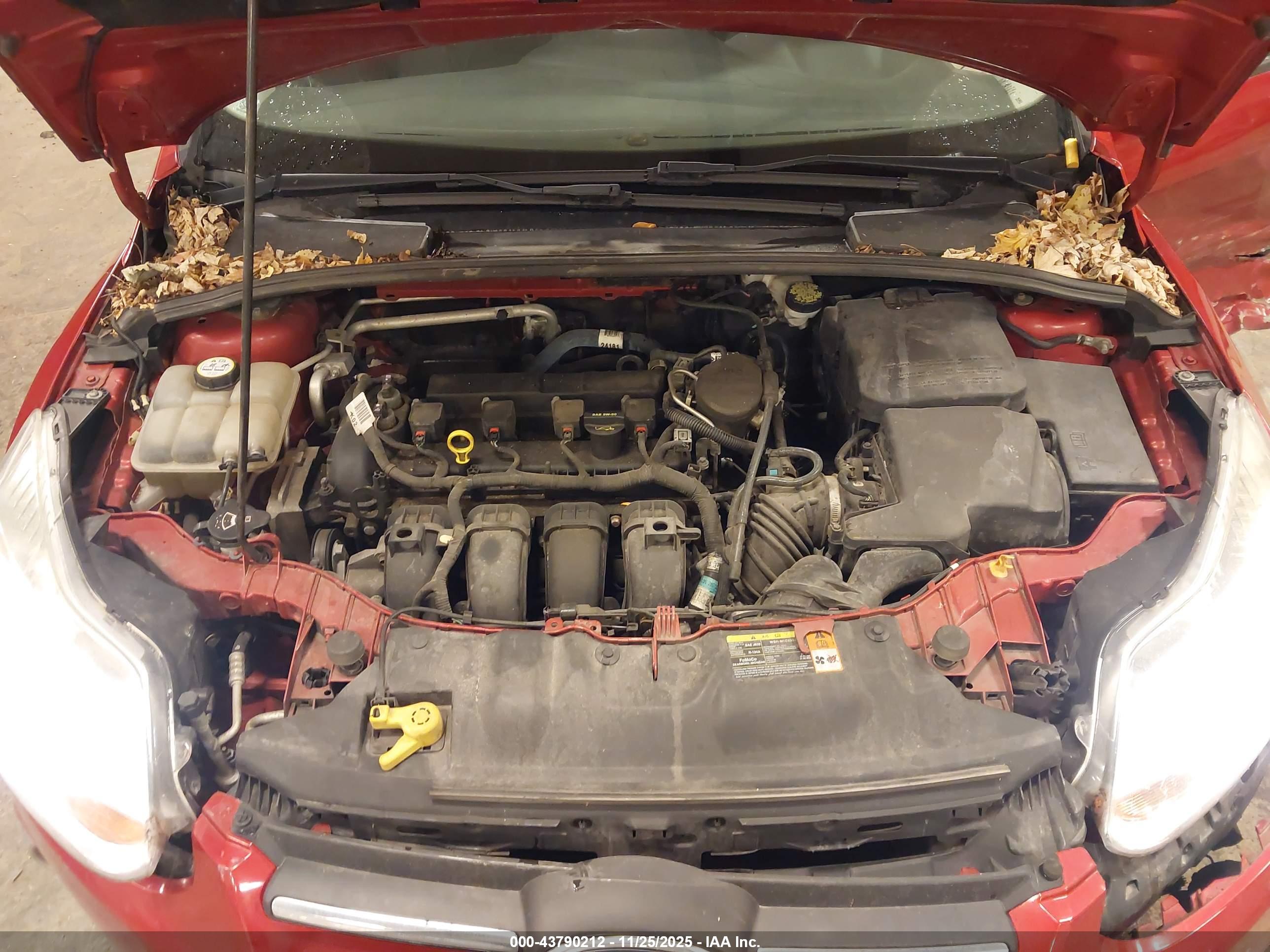 FORD FOCUS image 10