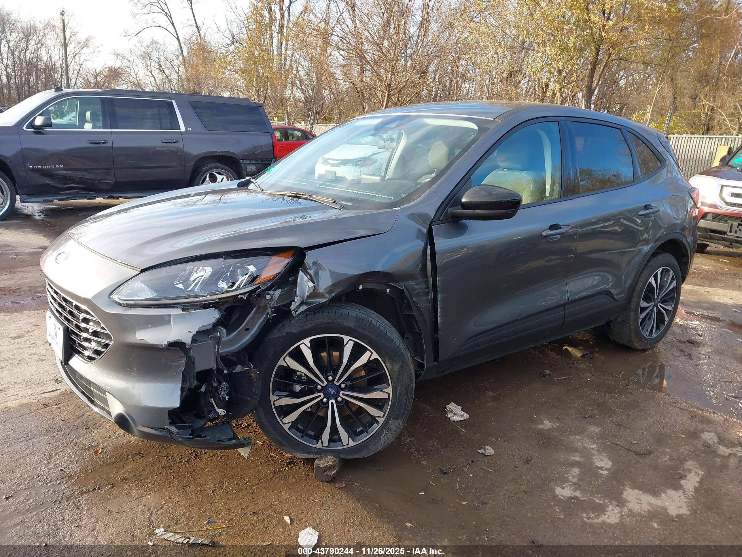 FORD ESCAPE image 2