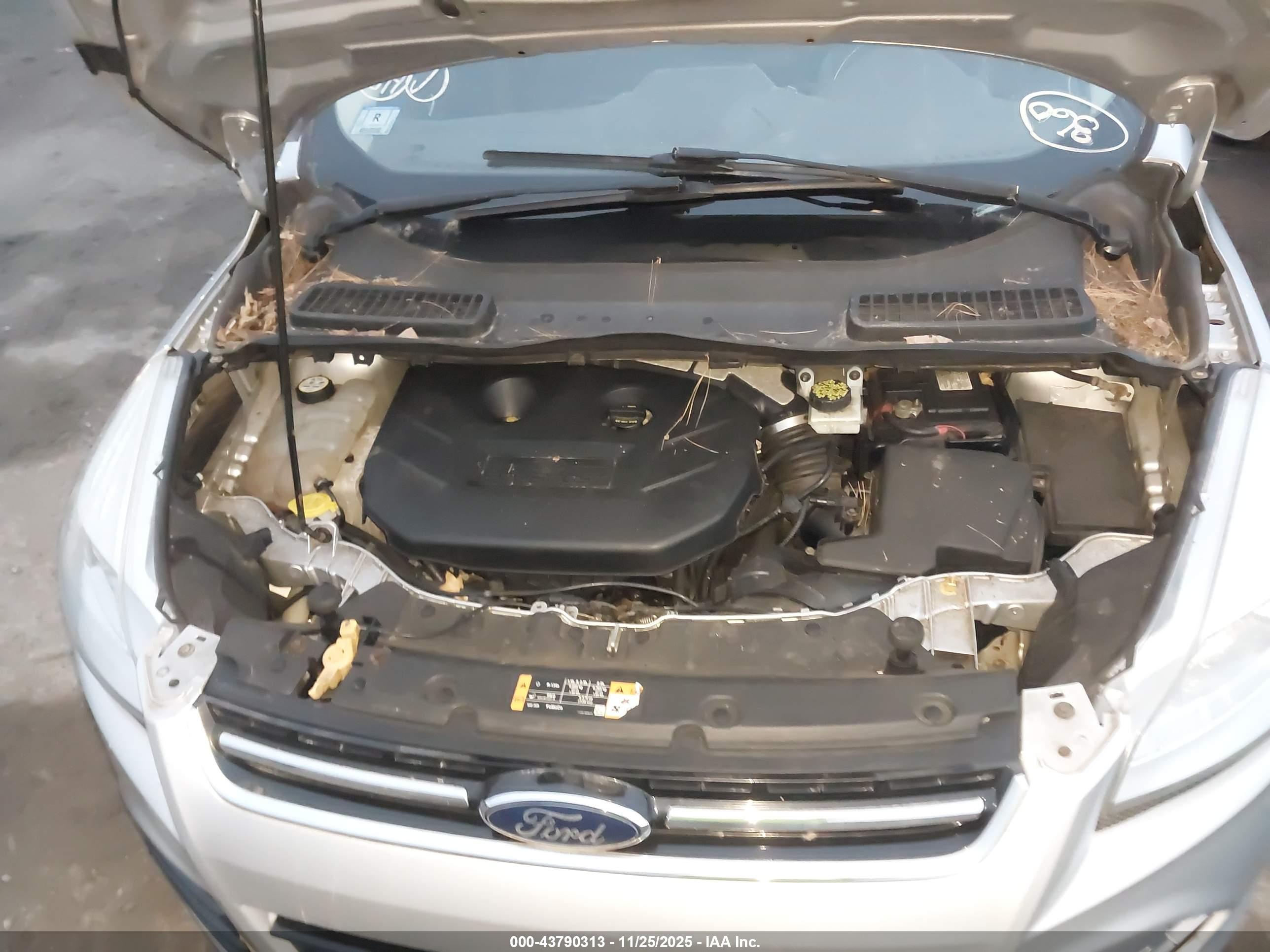 FORD ESCAPE image 10