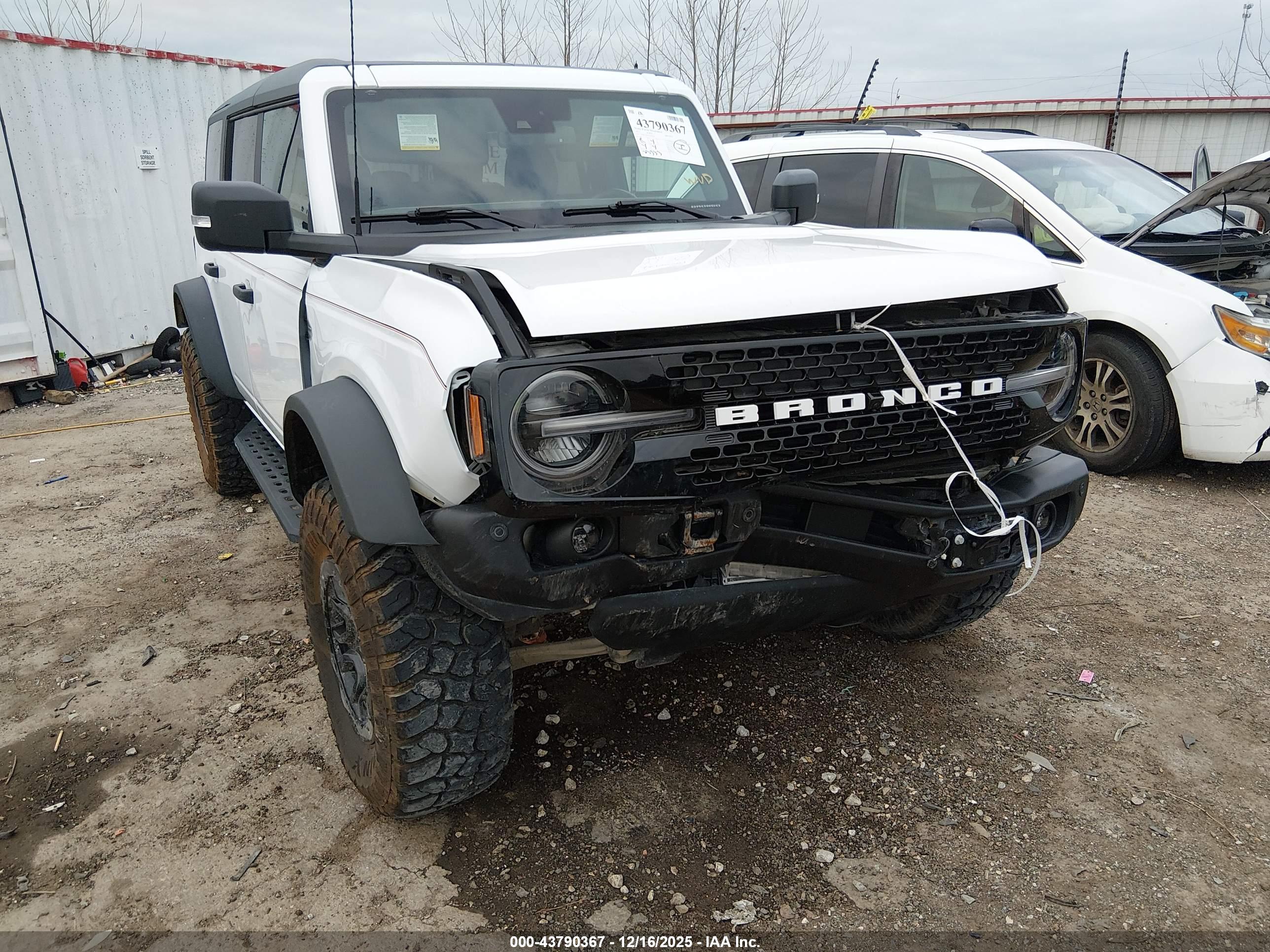 FORD BRONCO image 6