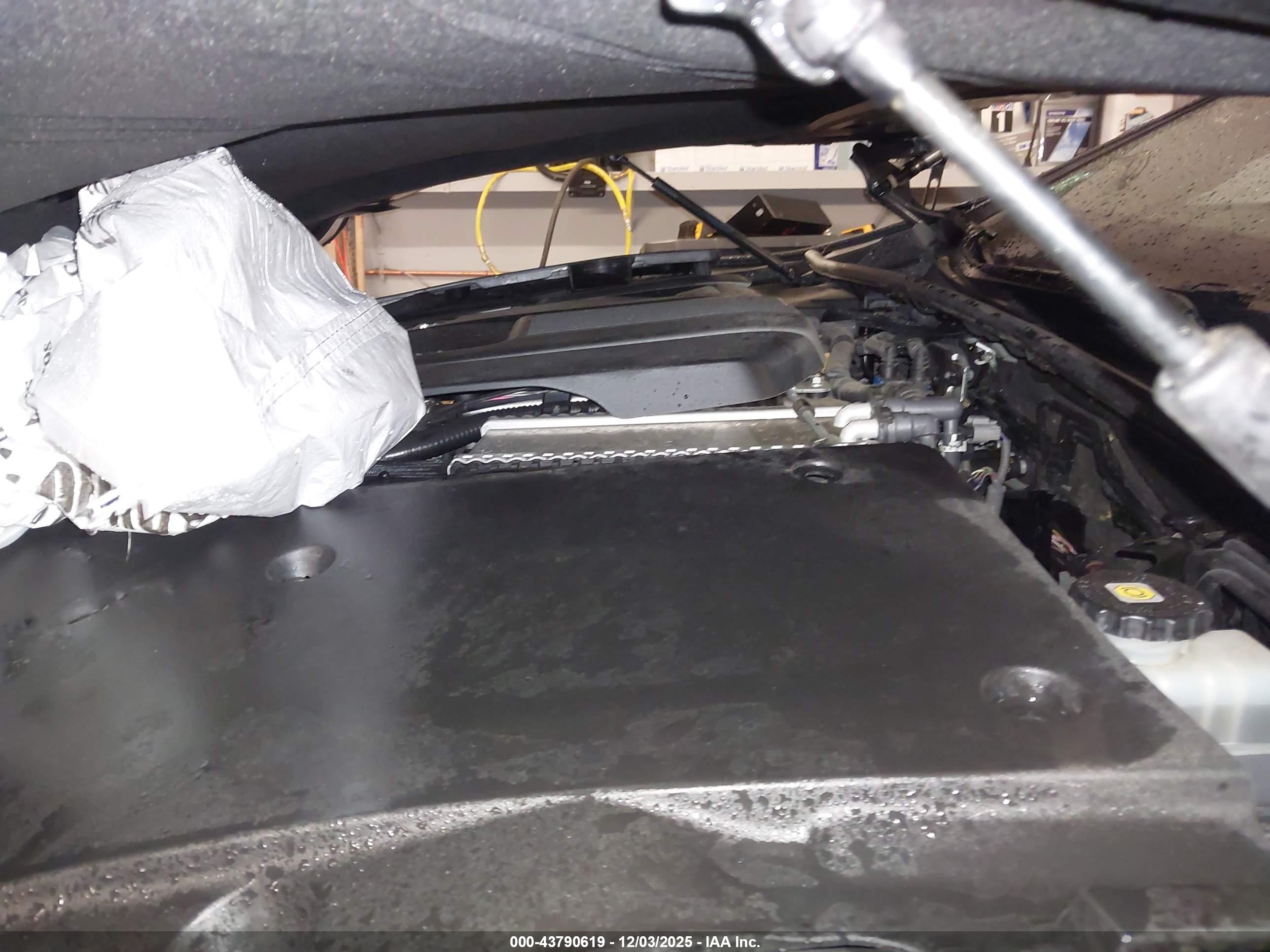 LEXUS LS image 10
