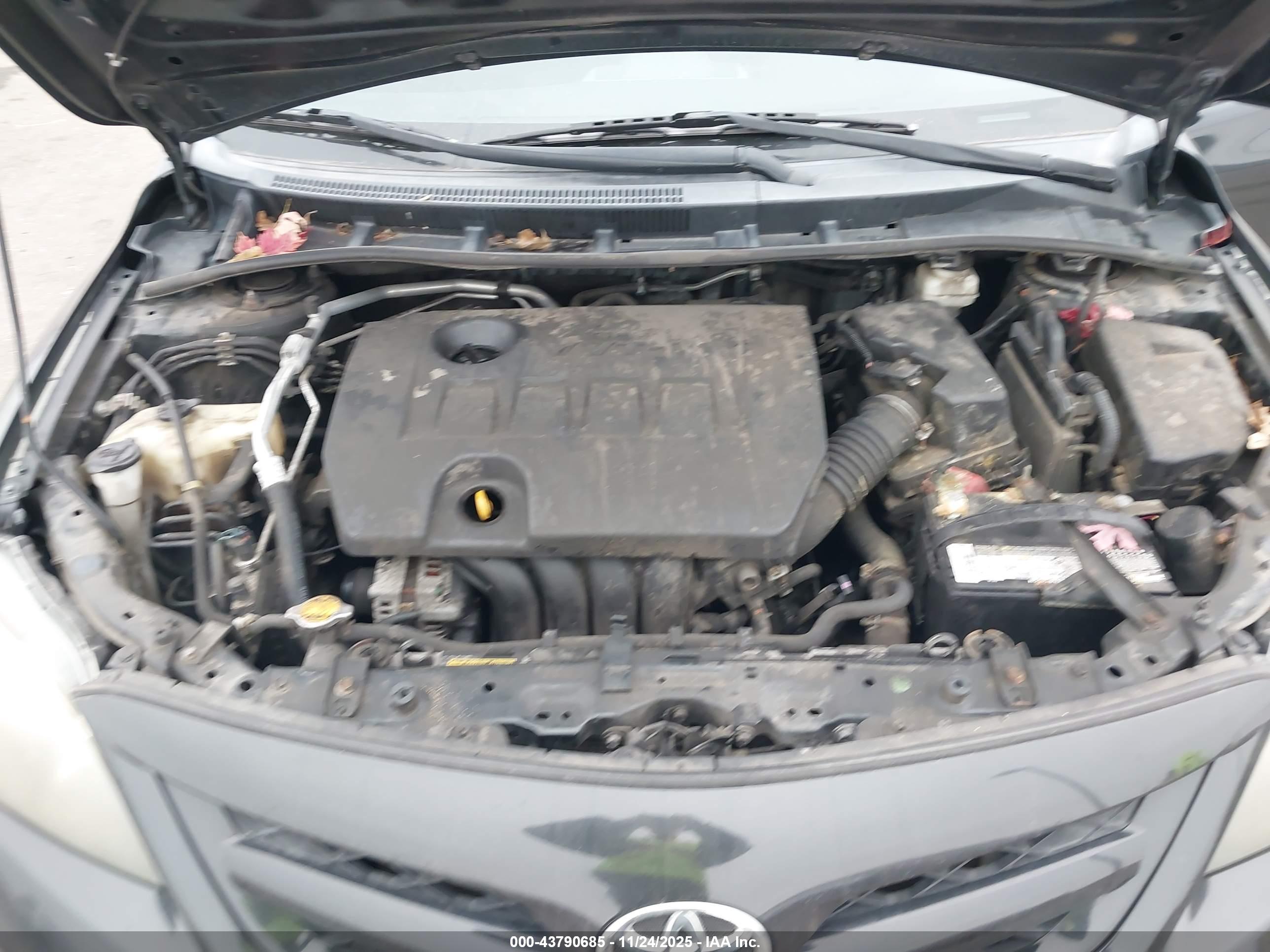 TOYOTA COROLLA image 10