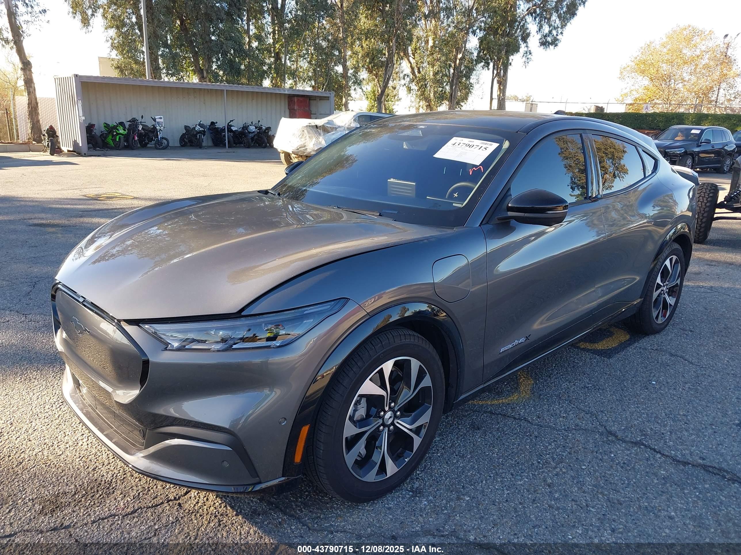 FORD MUSTANG image 2