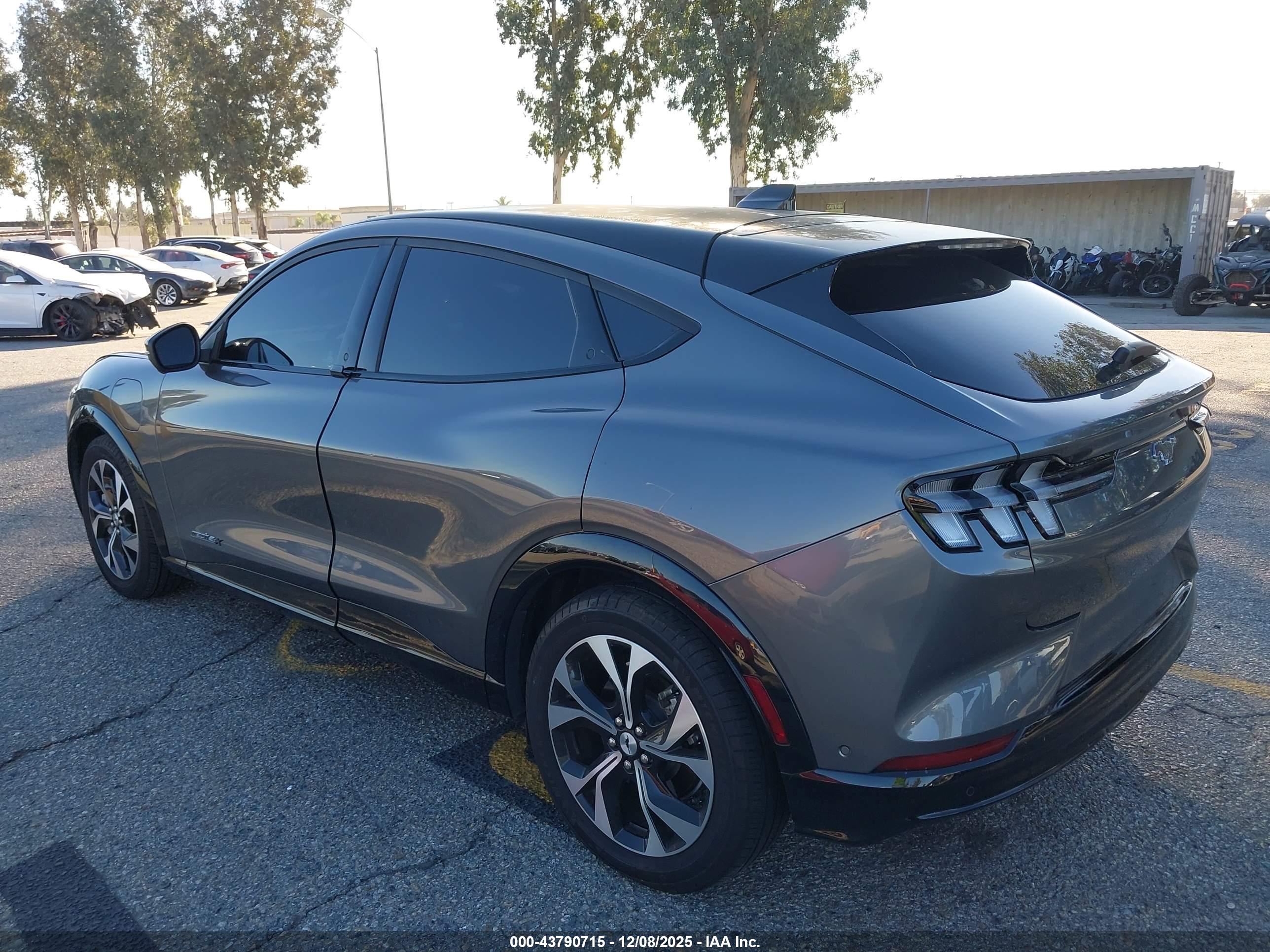 FORD MUSTANG image 3