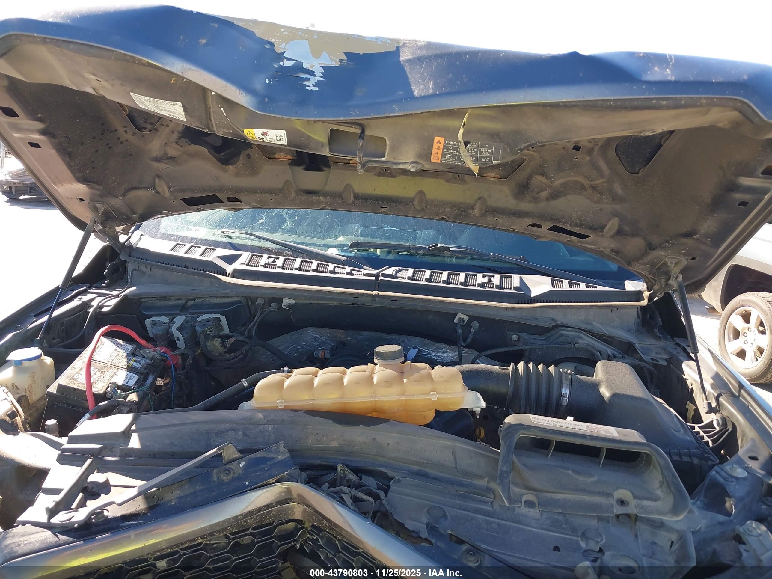 FORD F-150 image 10