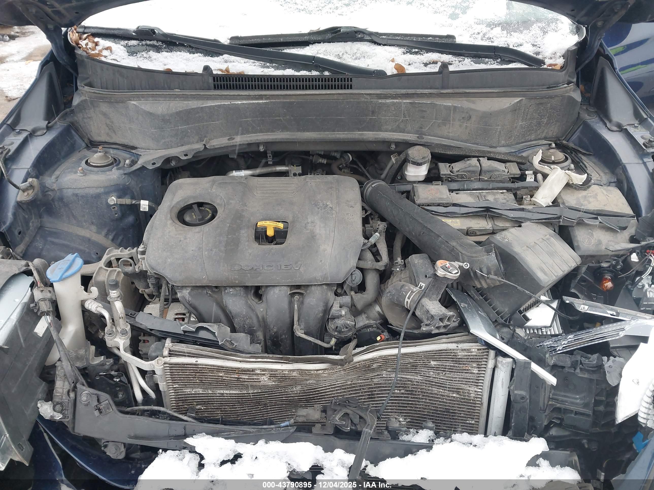KIA SELTOS image 10