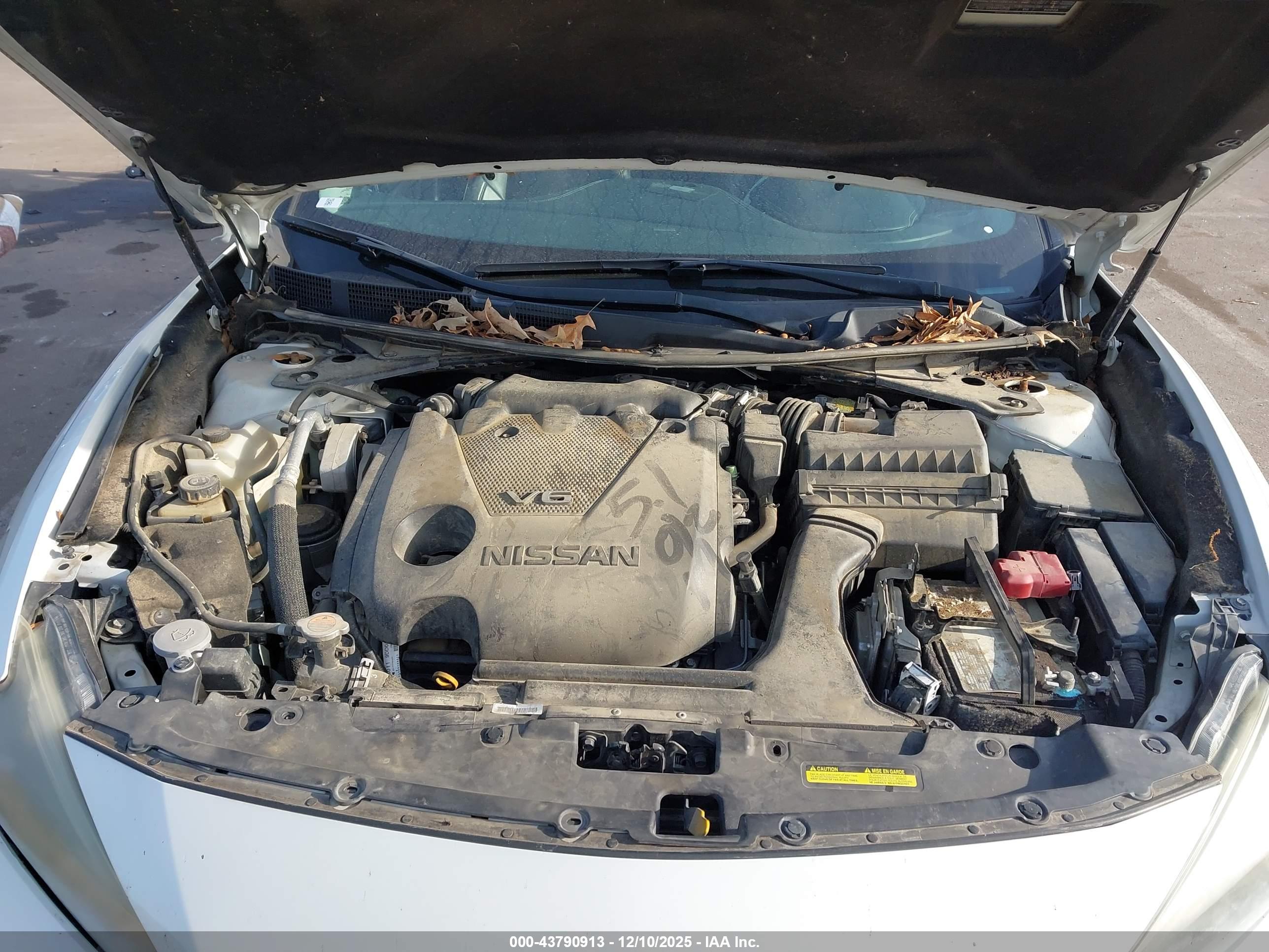 NISSAN MAXIMA image 10