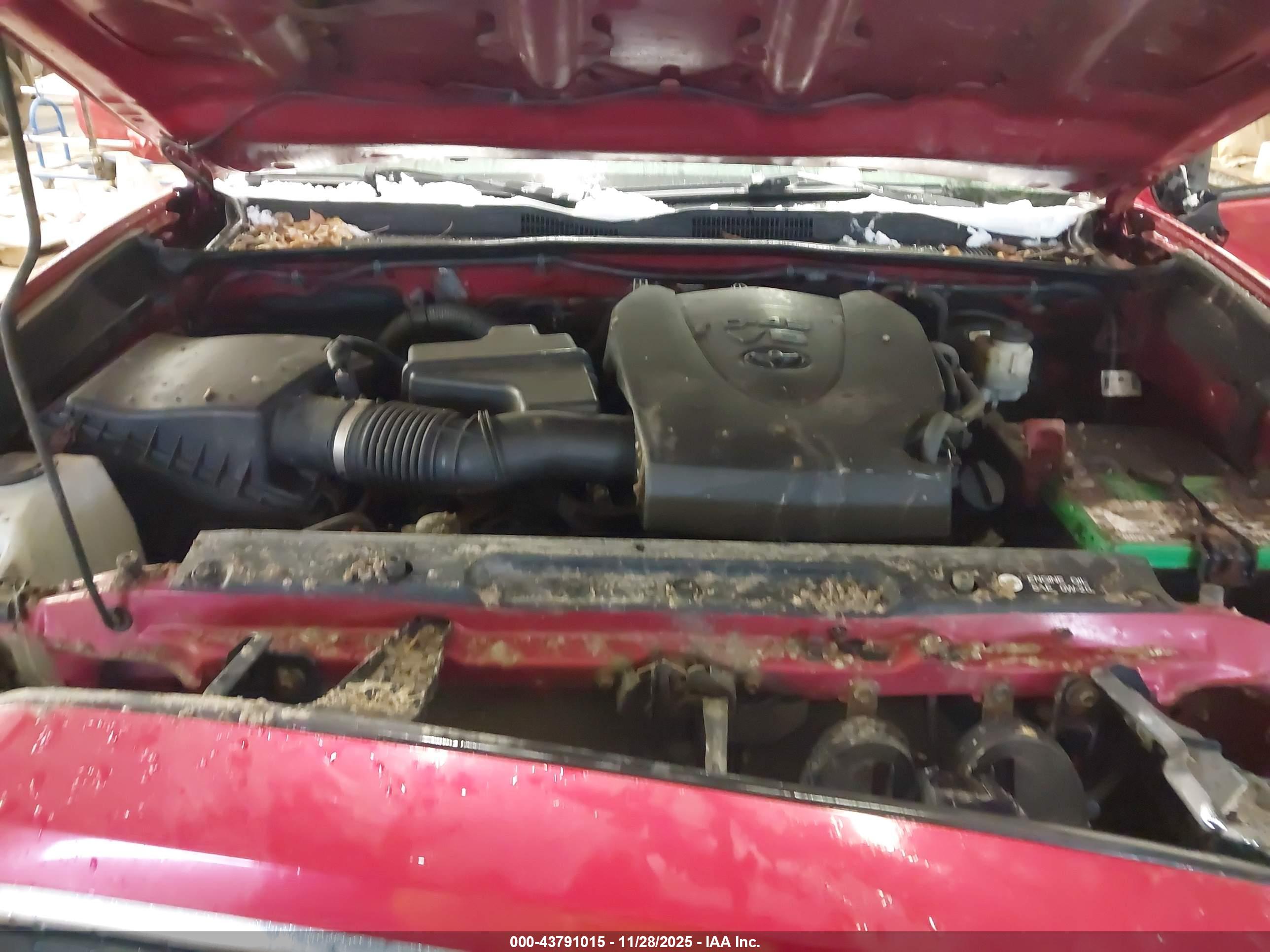 TOYOTA TACOMA image 10