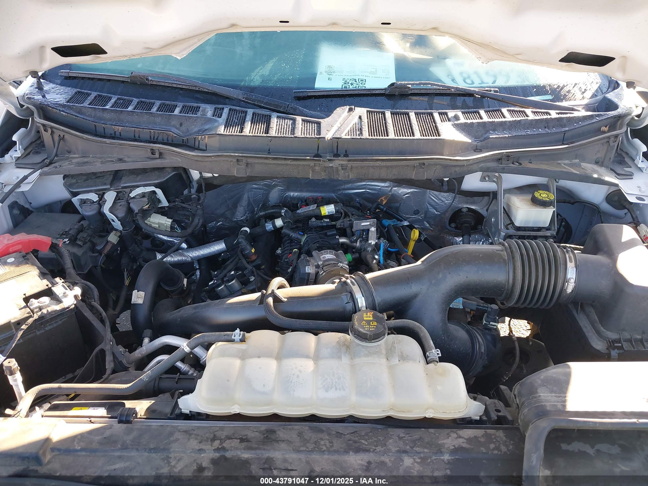 FORD F-150 image 10