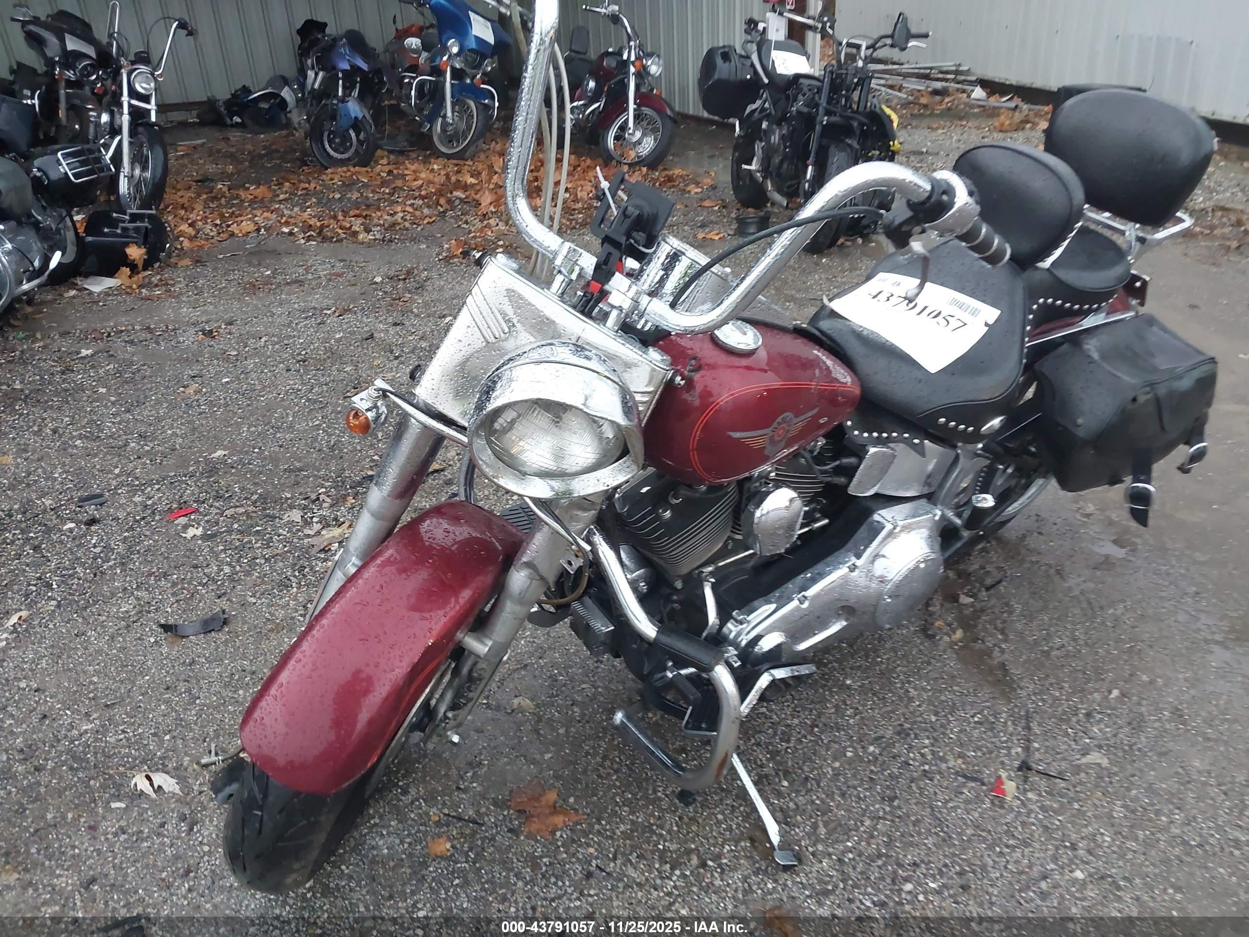 HARLEY-DAVIDSON FLSTF image 2