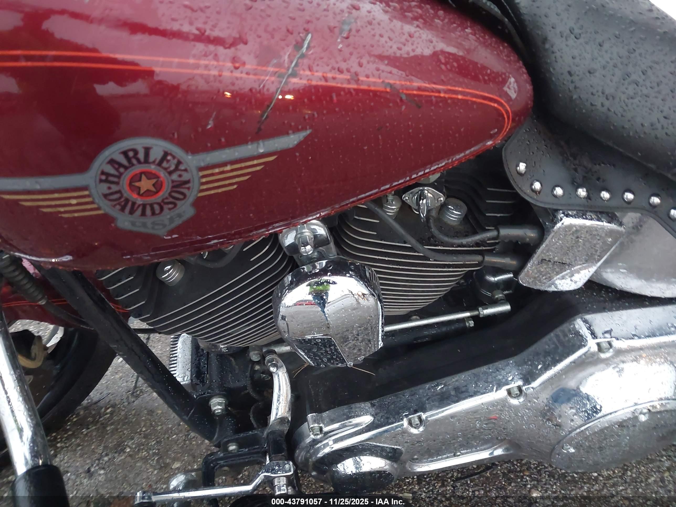 HARLEY-DAVIDSON FLSTF image 9