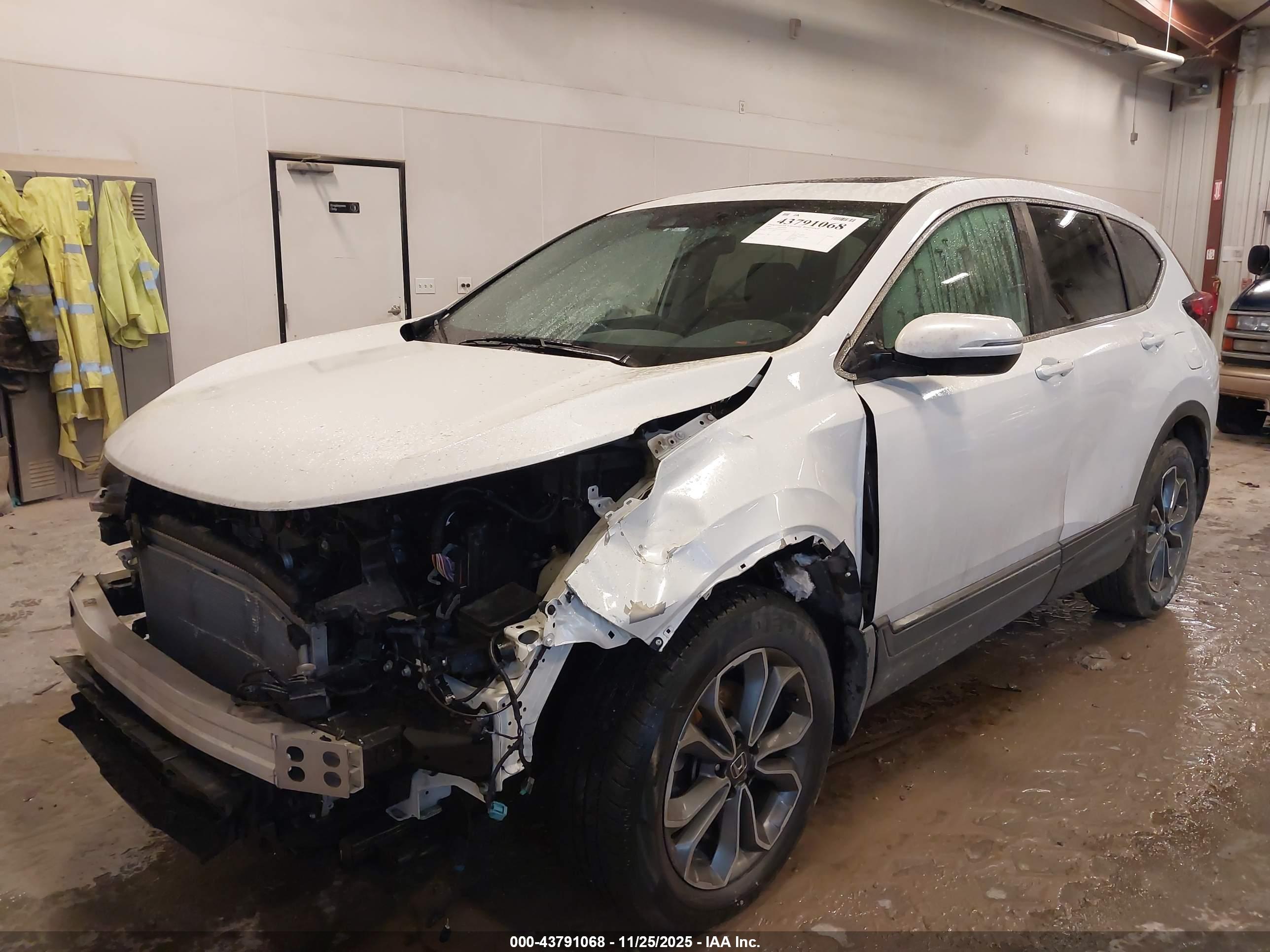 HONDA CR-V image 2