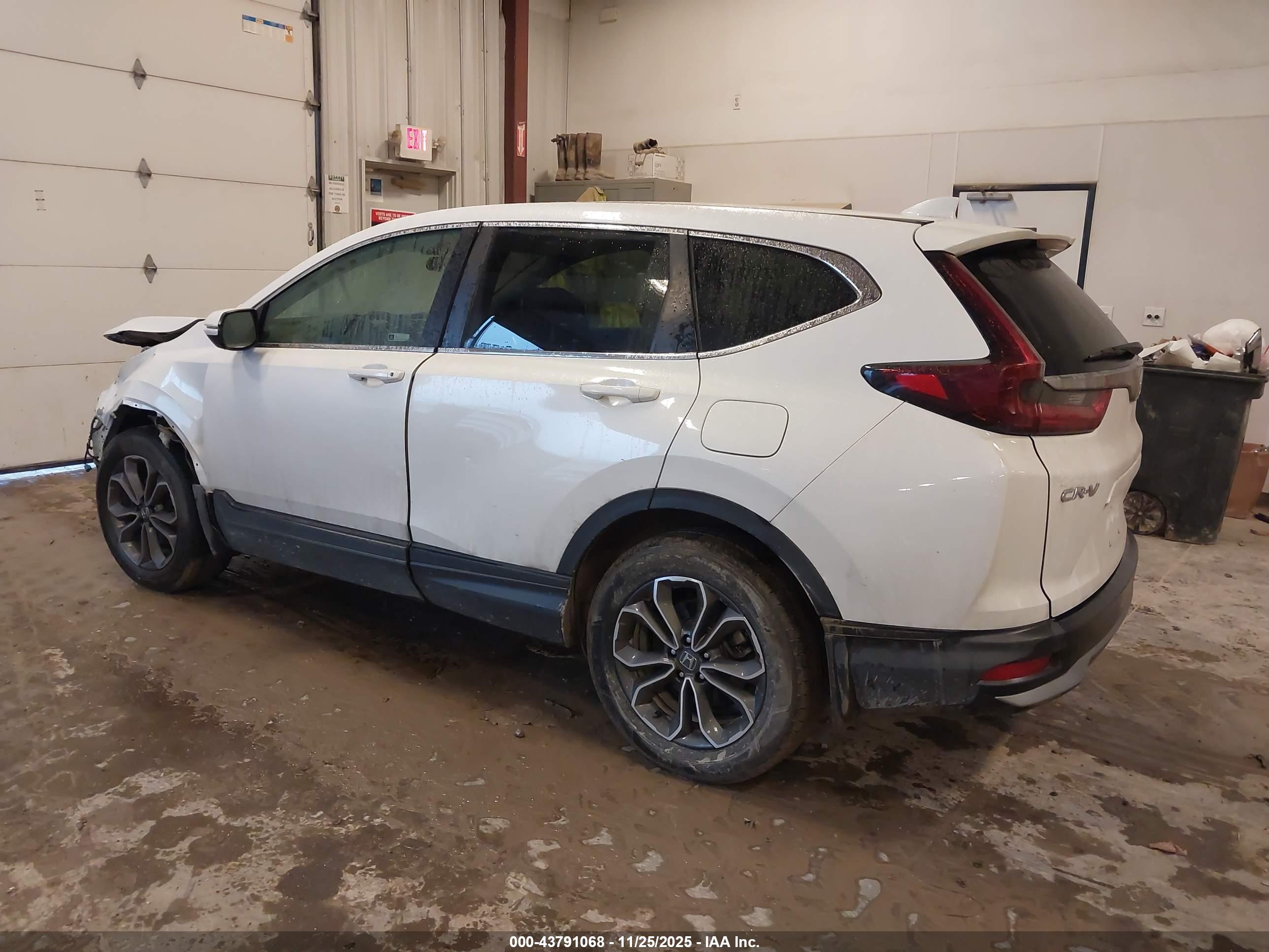 HONDA CR-V image 3