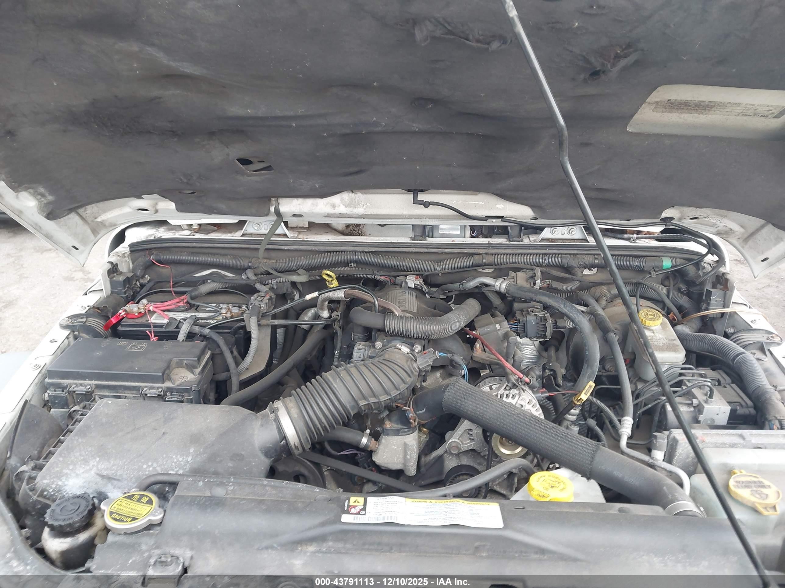 JEEP WRANGLER image 10