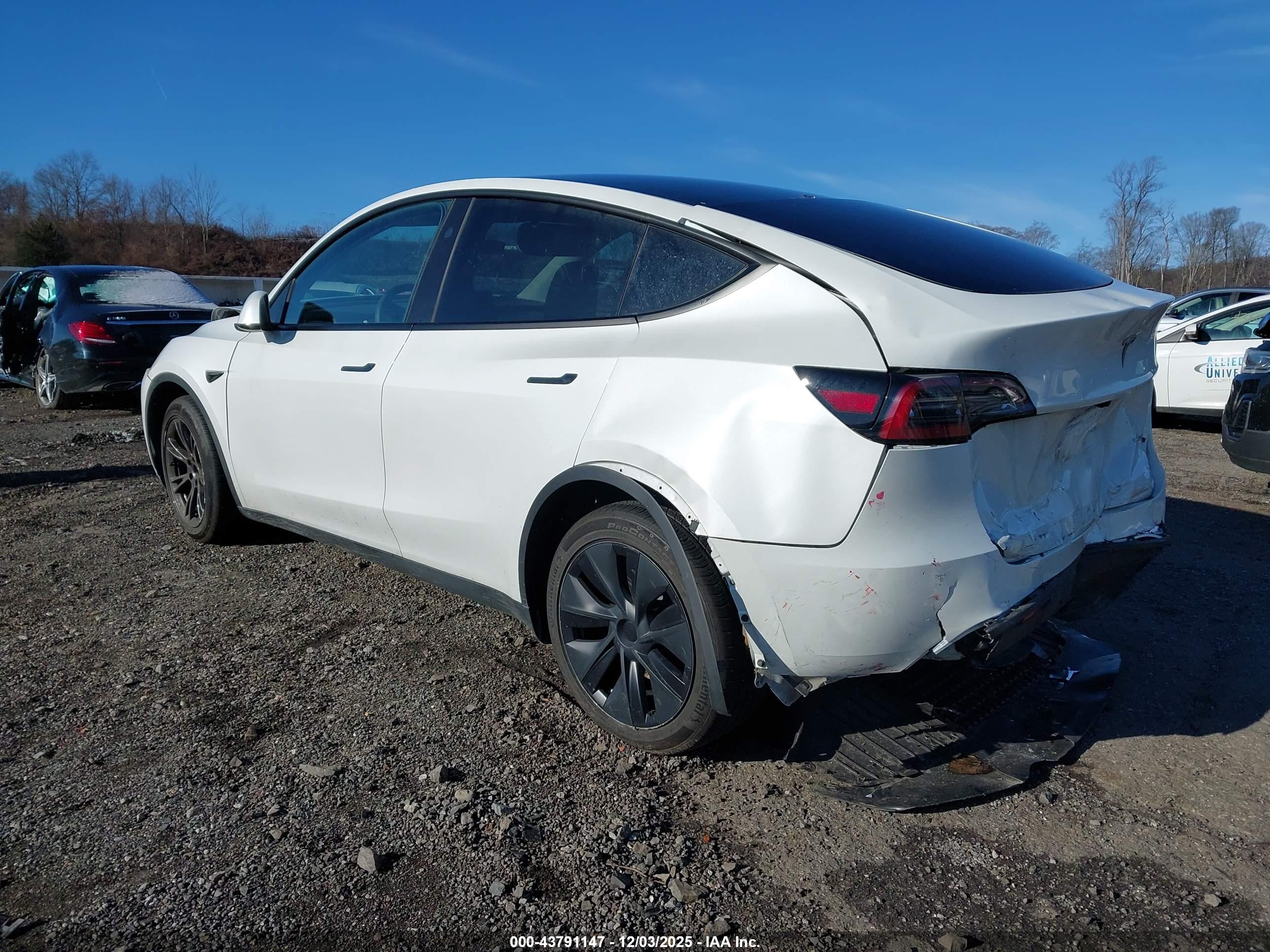 TESLA MODEL image 3