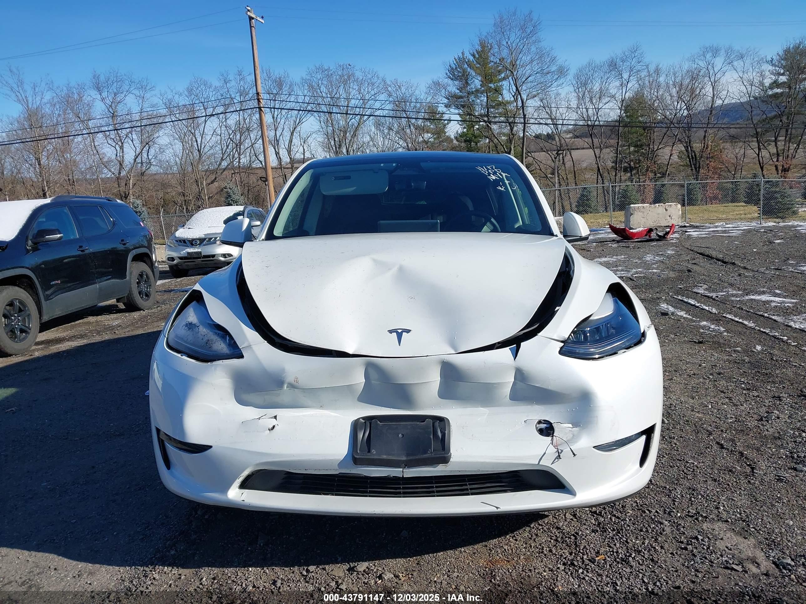 TESLA MODEL image 6